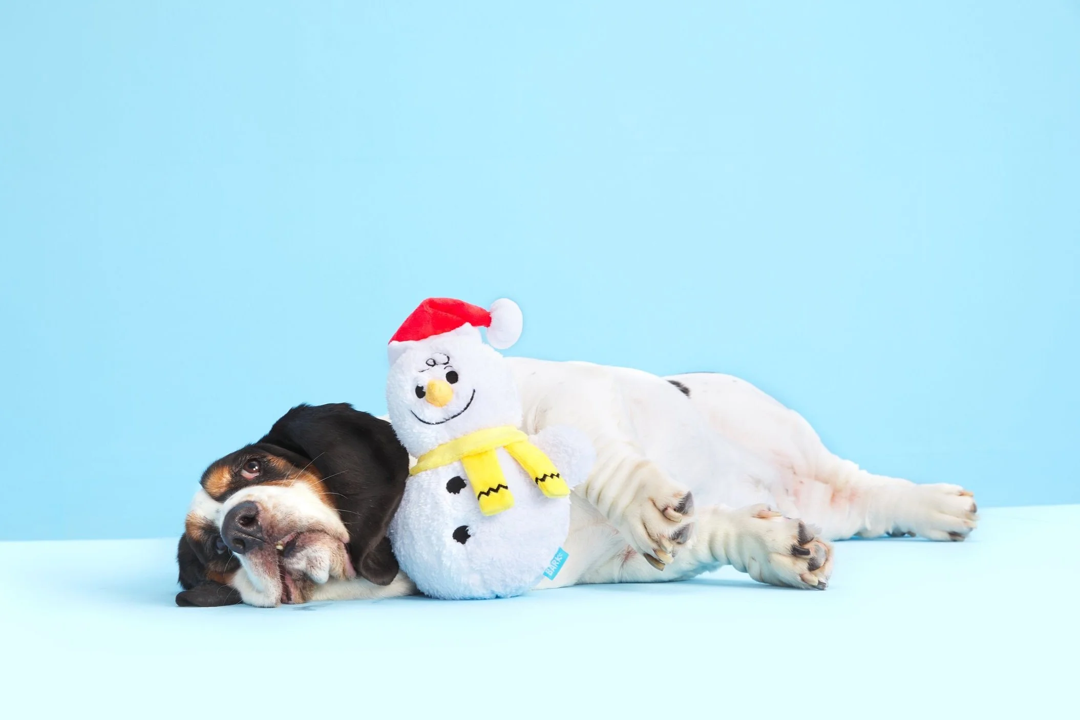 BOX_YOURE-A-SNOWMAN-CHARLIE-BROWN_STRUMMER_0899.jpg