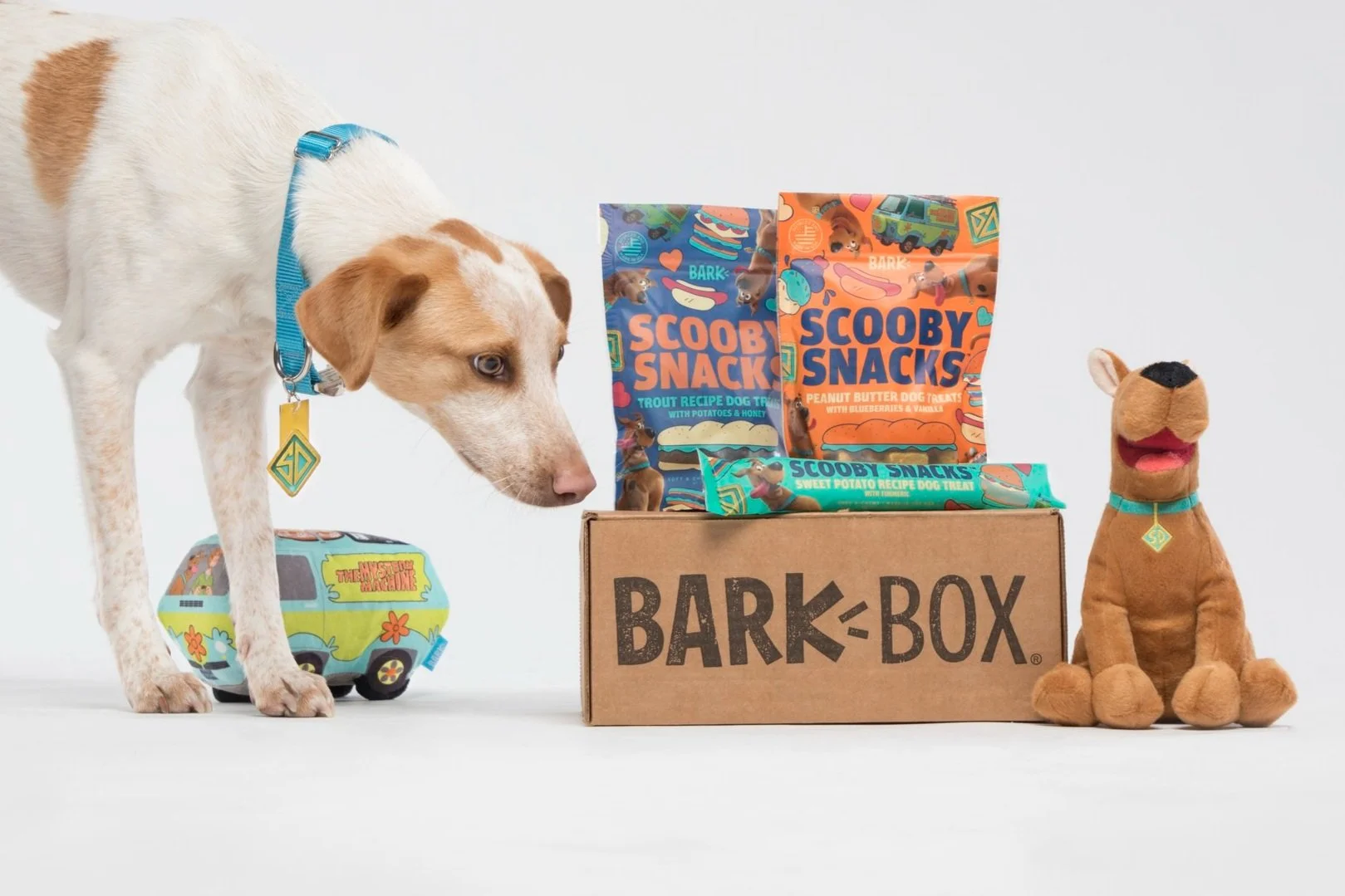 BOX_STYLED-BOX_ACORN_1304.jpg