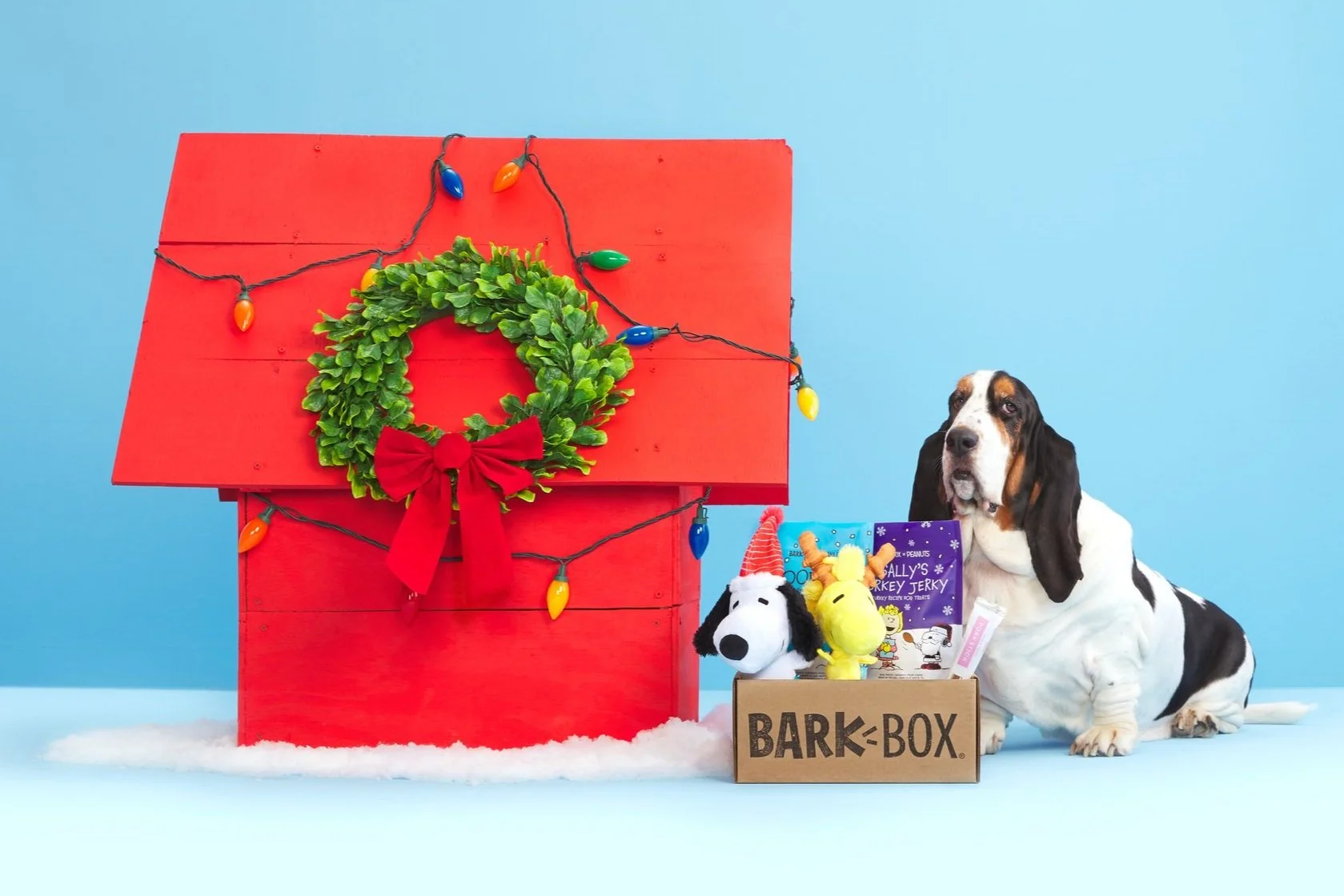 BarkBox - License Product