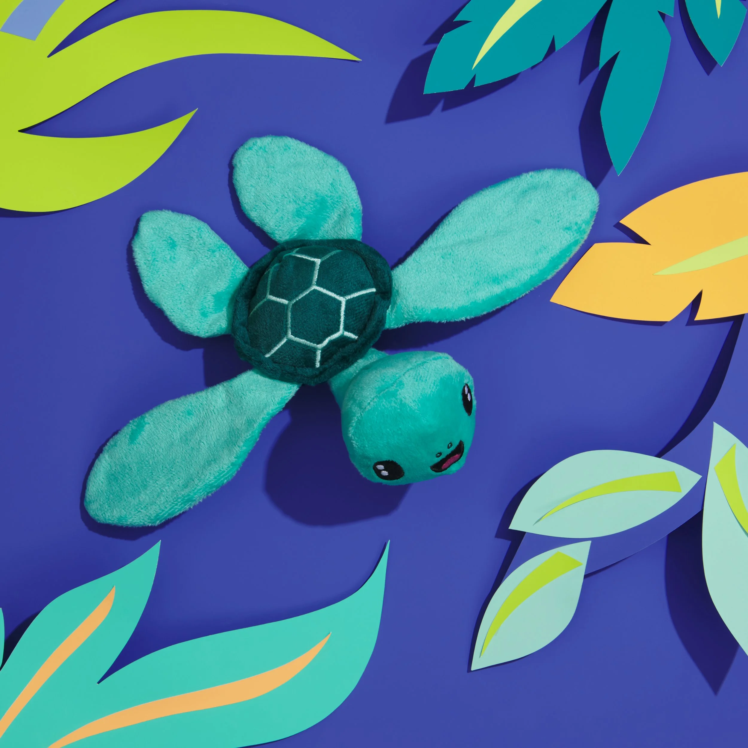 BOX_209914_SERGIO-SEA-TURTLE_2158.jpg