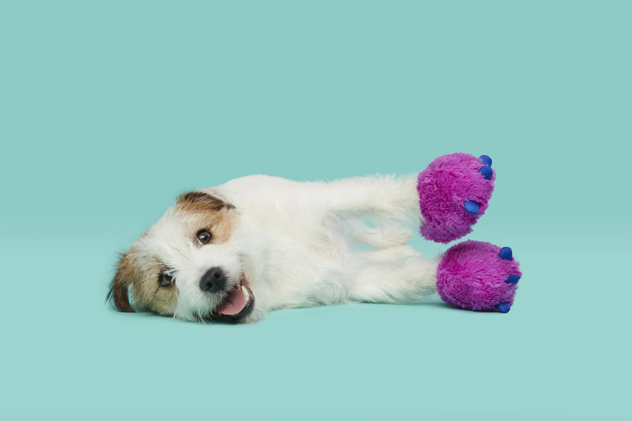 BOX_211397_BEARLY-SLEEPY-SLIPPERS-XS-S_LIBBY_1233.jpg