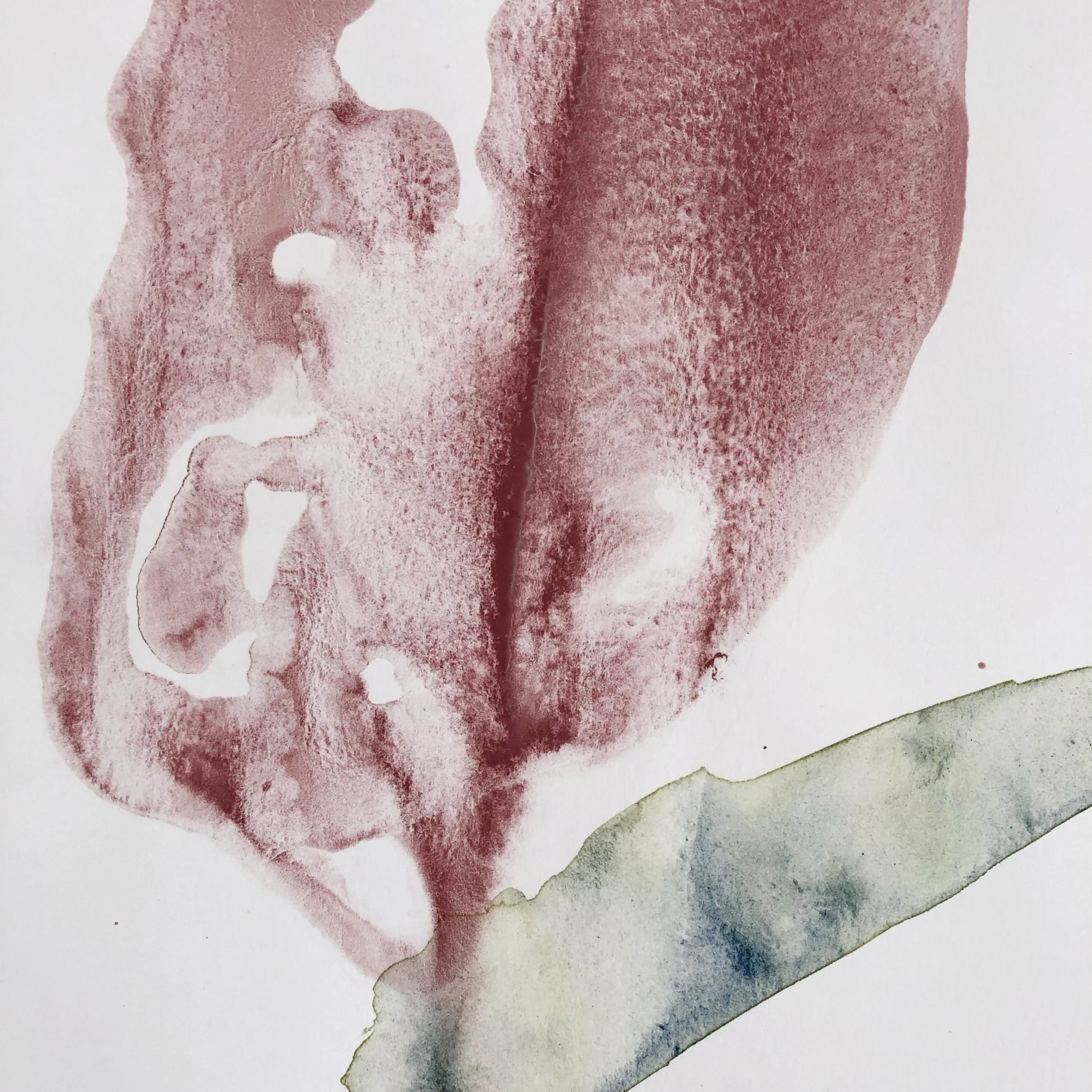 Flower-Art-Pink-Tulip-Painting.jpeg