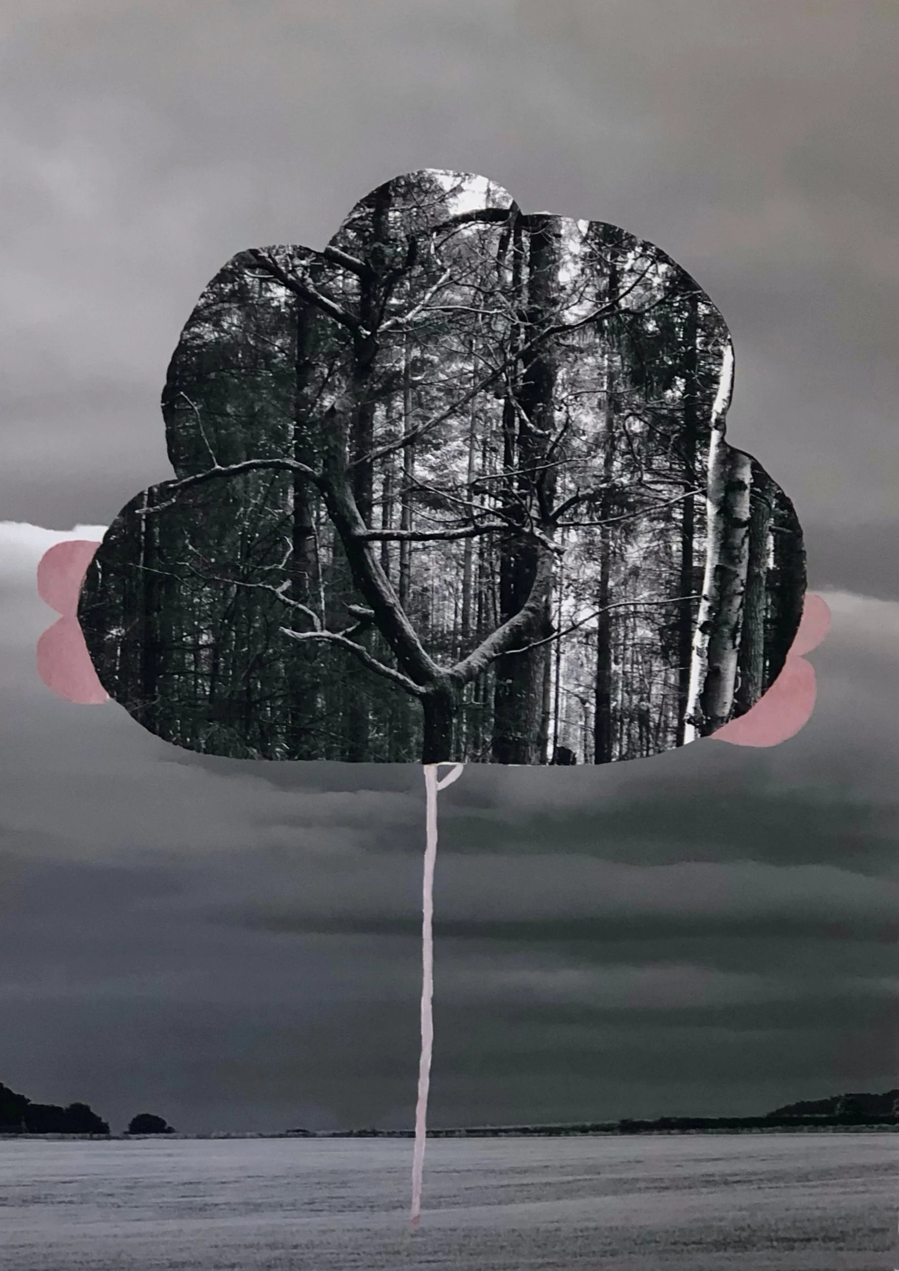 Stigmata Kelly Connor crop.jpg