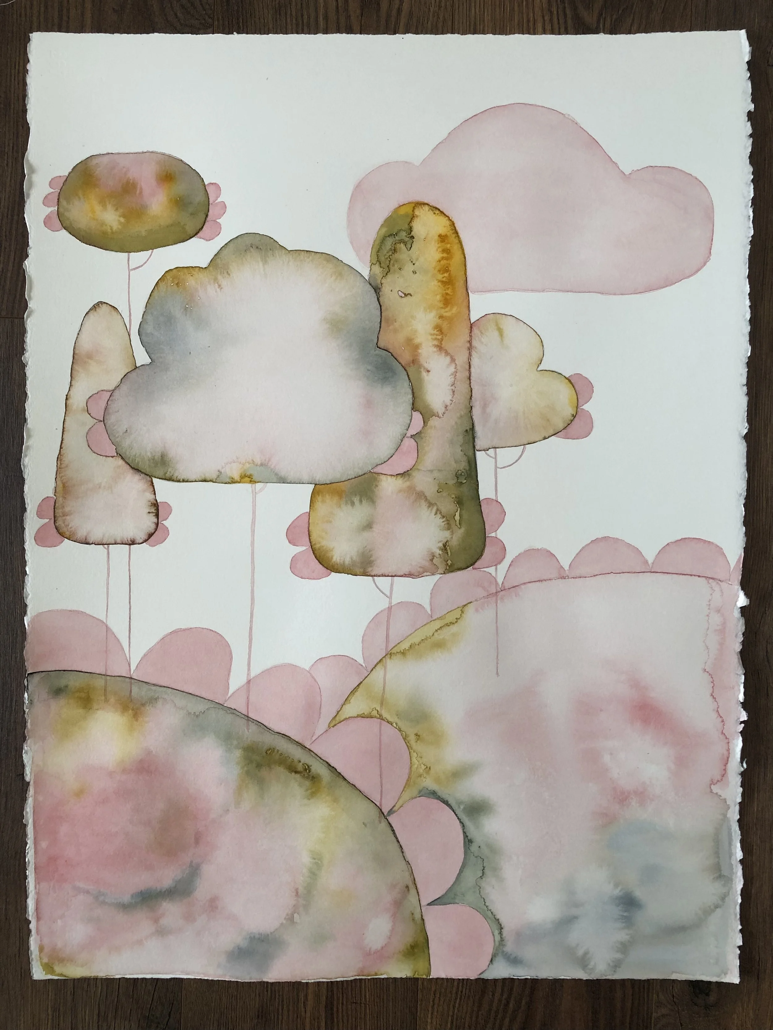 Walking the Imaginal Realm.jpg