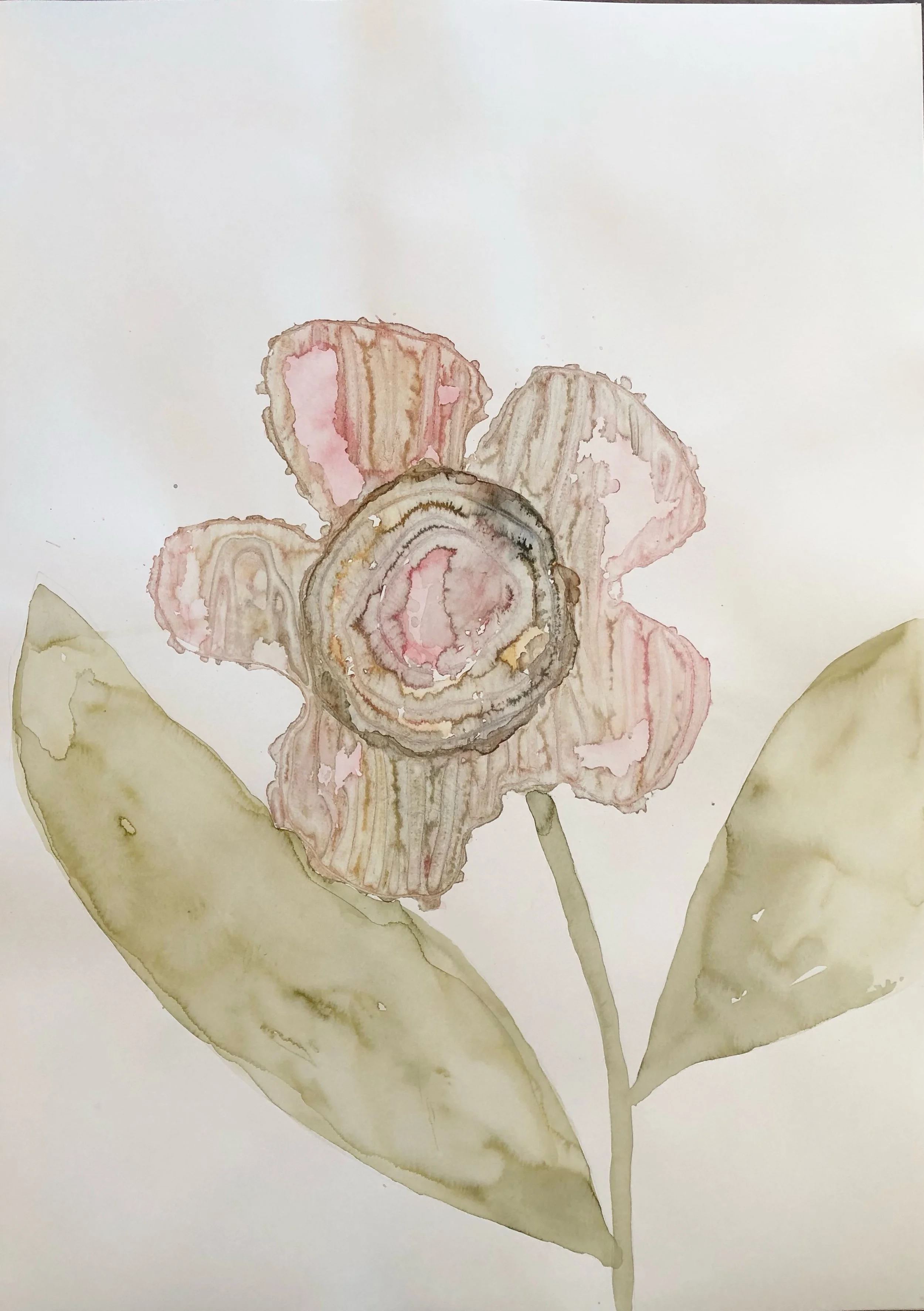 FullSizeRender 21.jpeg