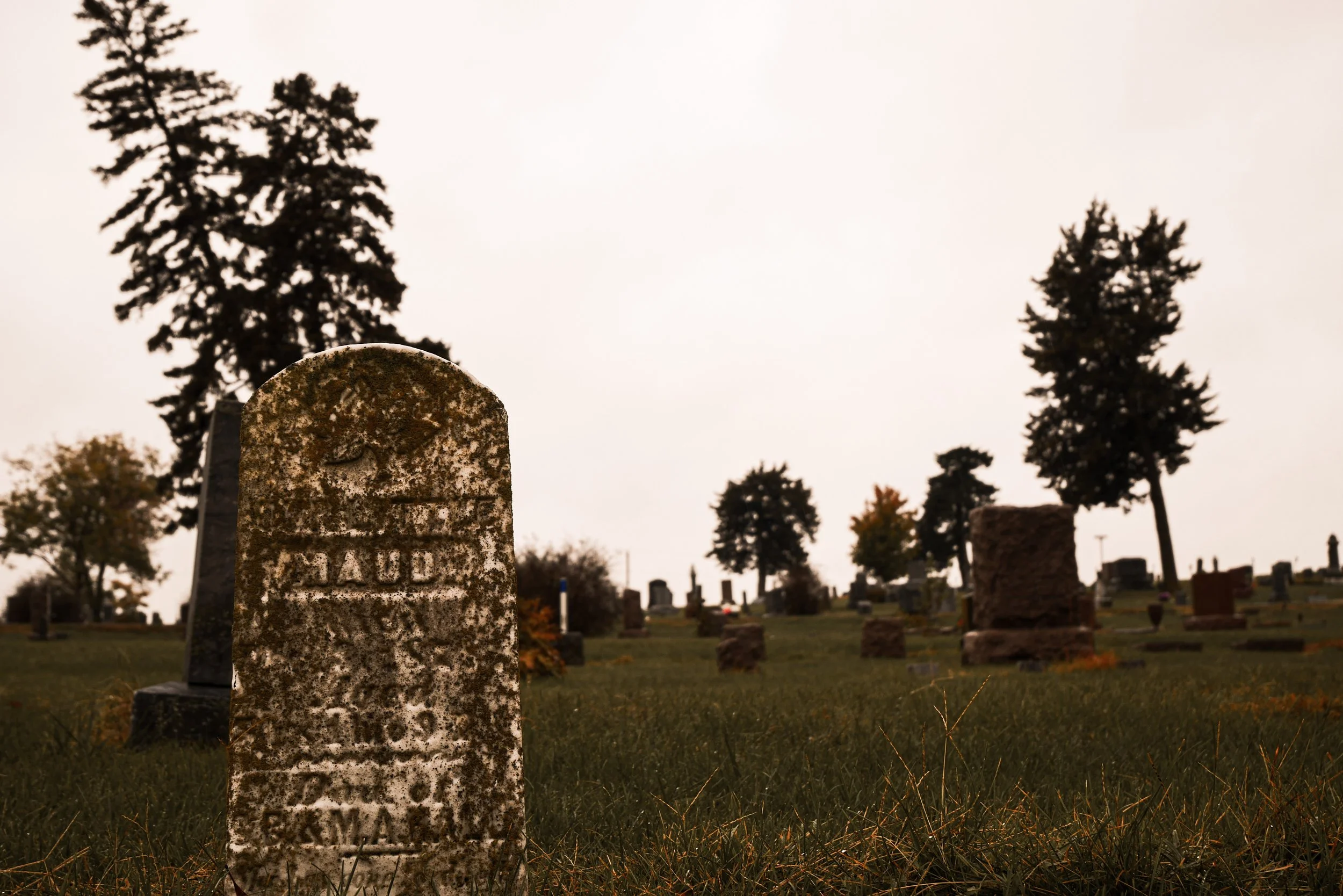 The Grim Guest: Life and its Inevitable End