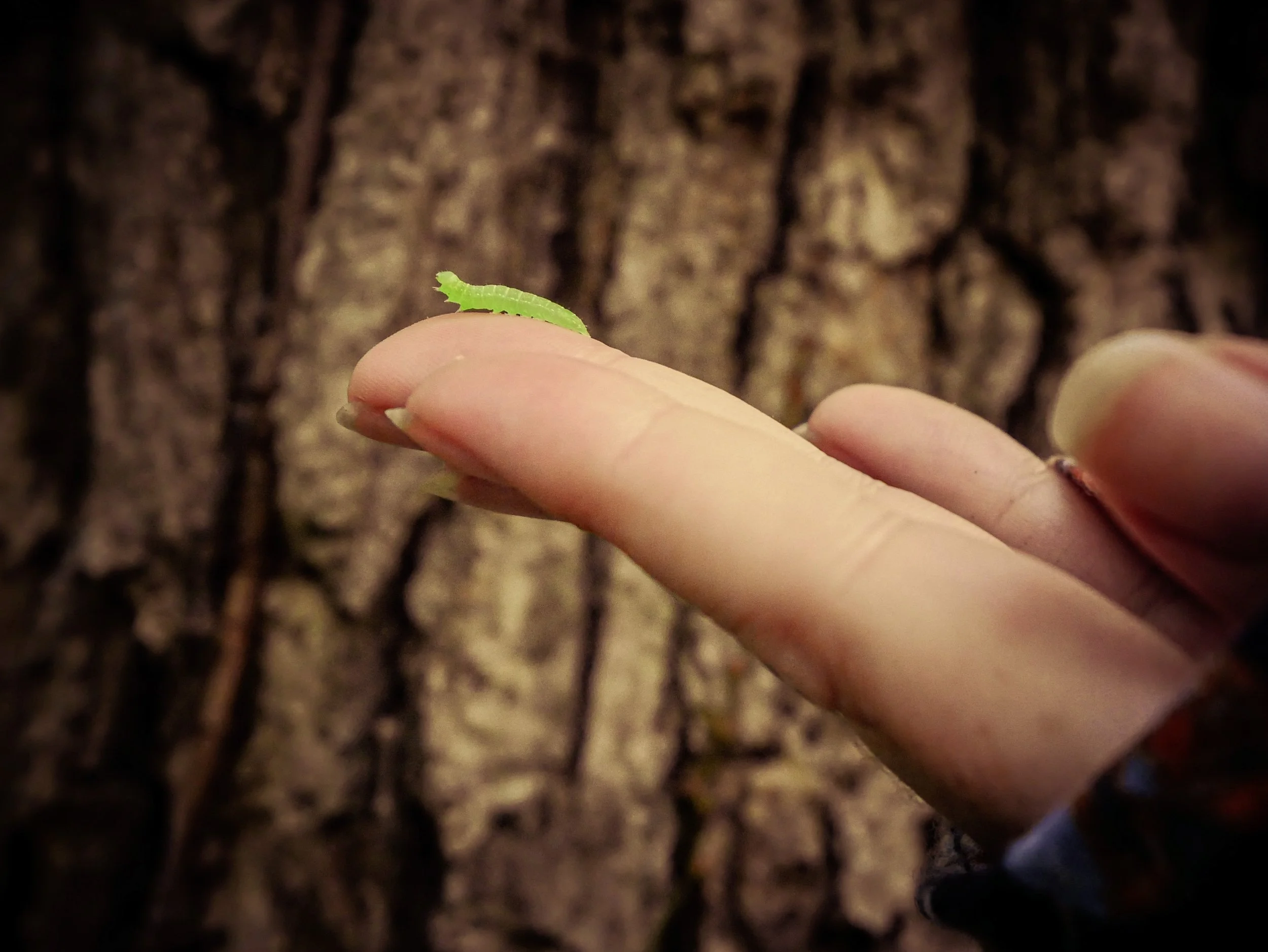 Fatal Friends: Give Them an Inch, They Take a Mile