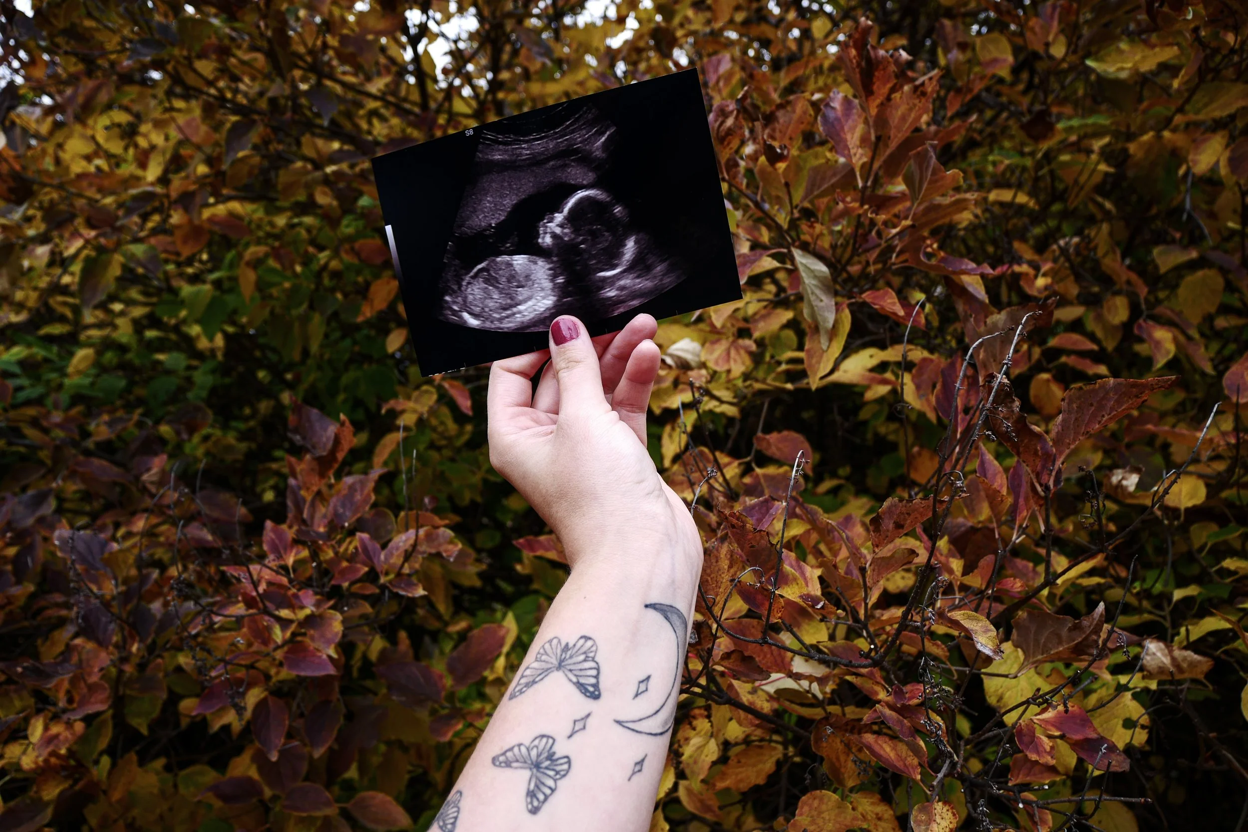 Motherhood &amp; Madness: Becoming a Mother and Losing My Own