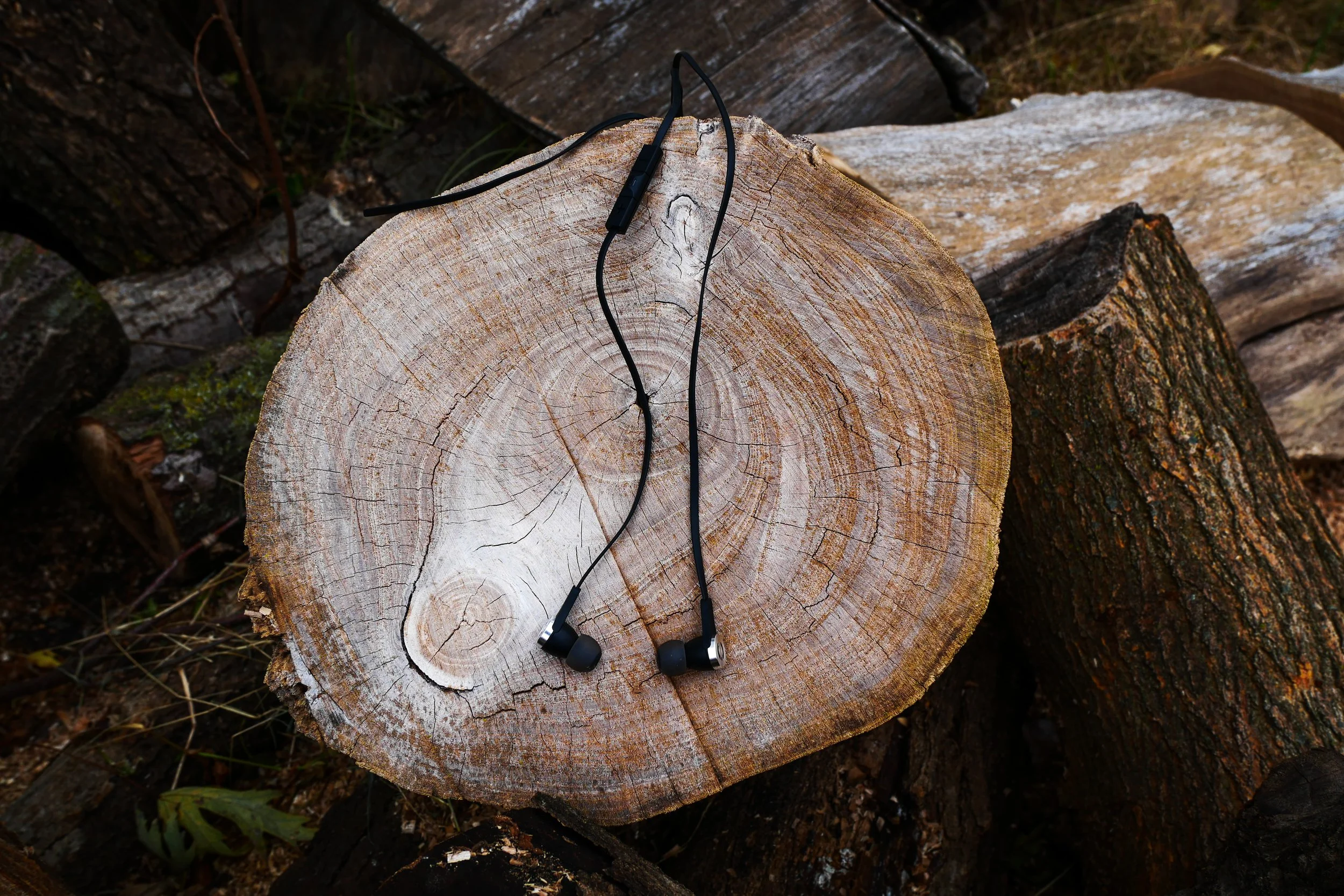 Taking a Chance on a Silent Dance