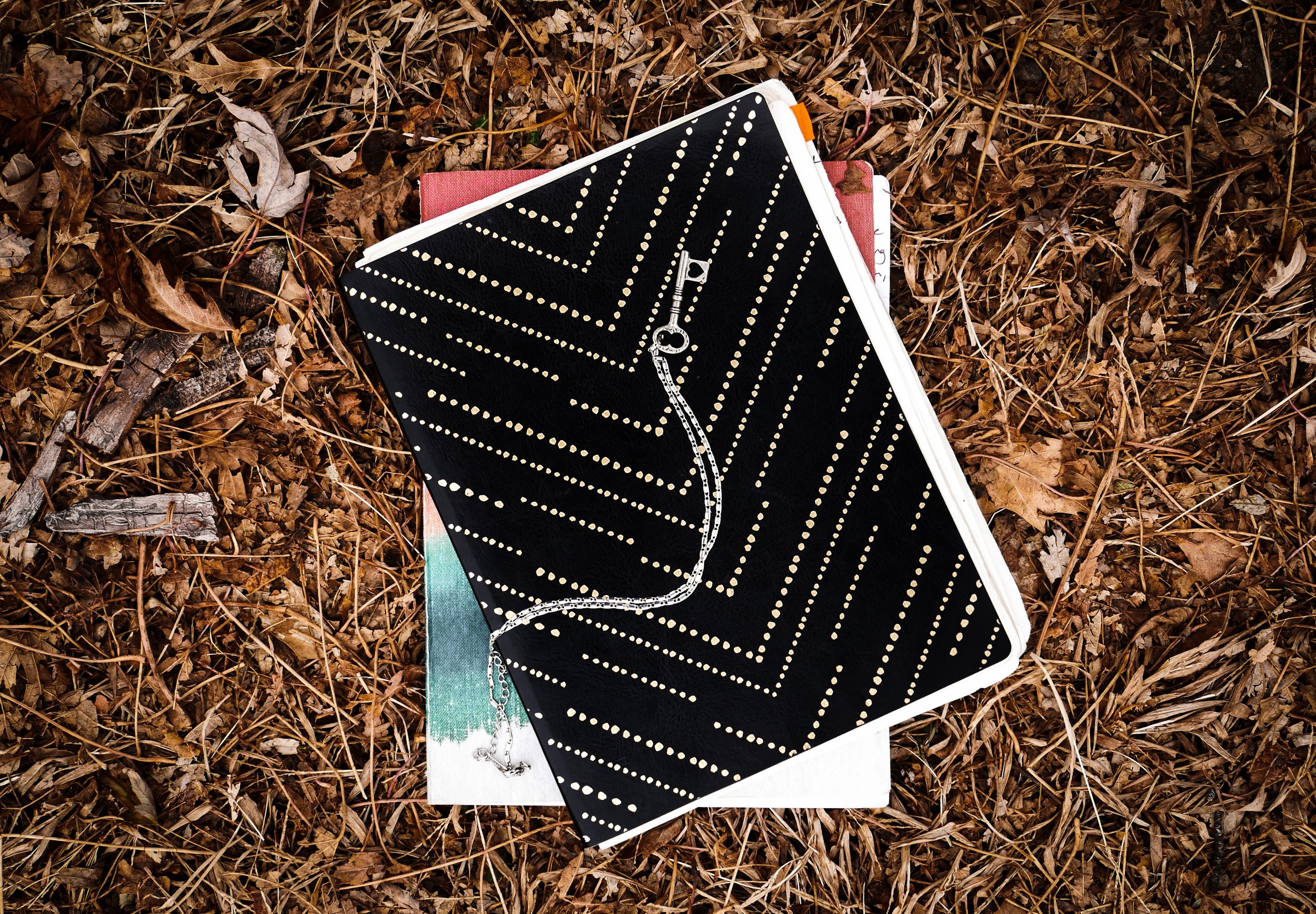 Dear Dandy: Locking the Door Behind Me