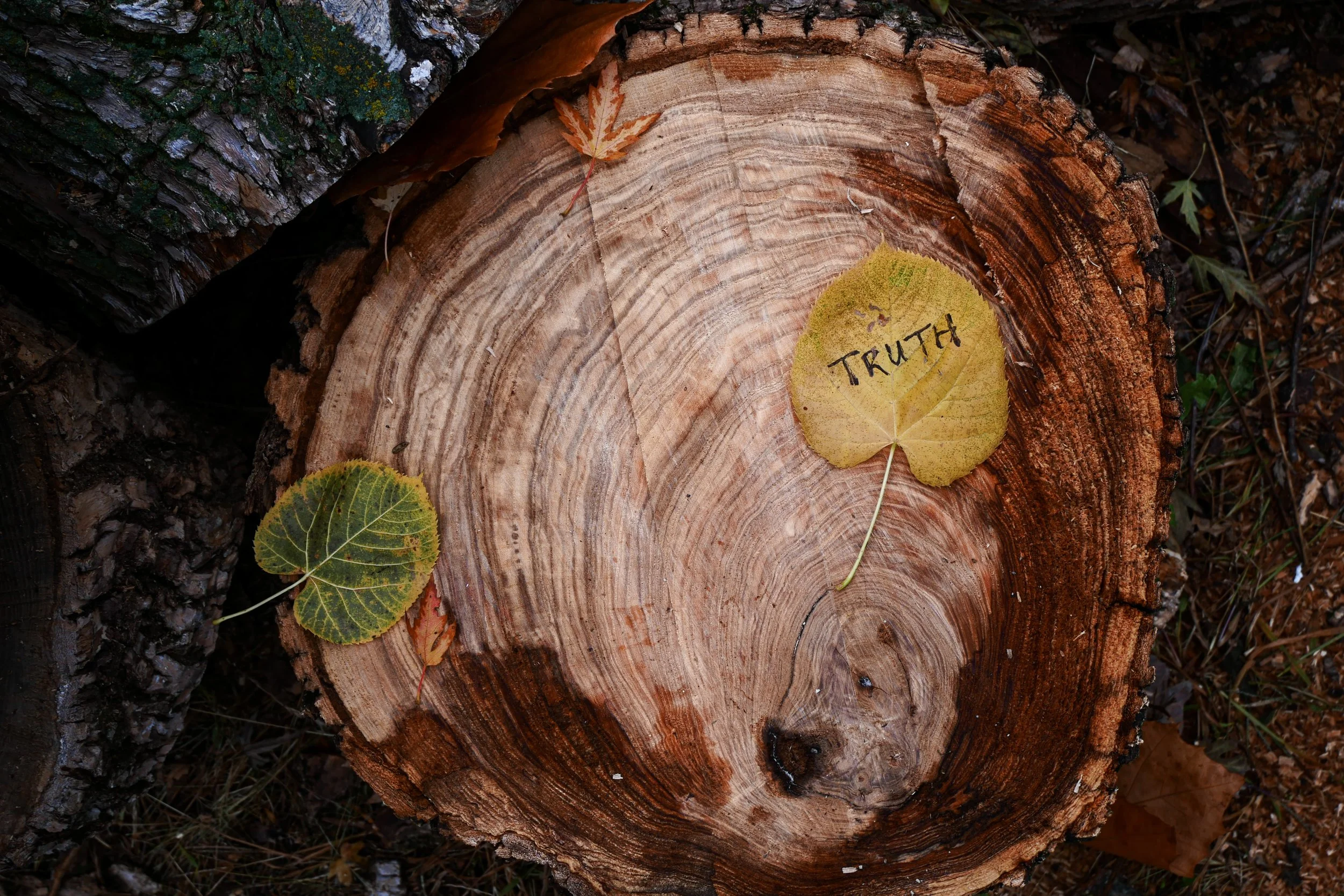 The Consequences of Speaking Your Truth