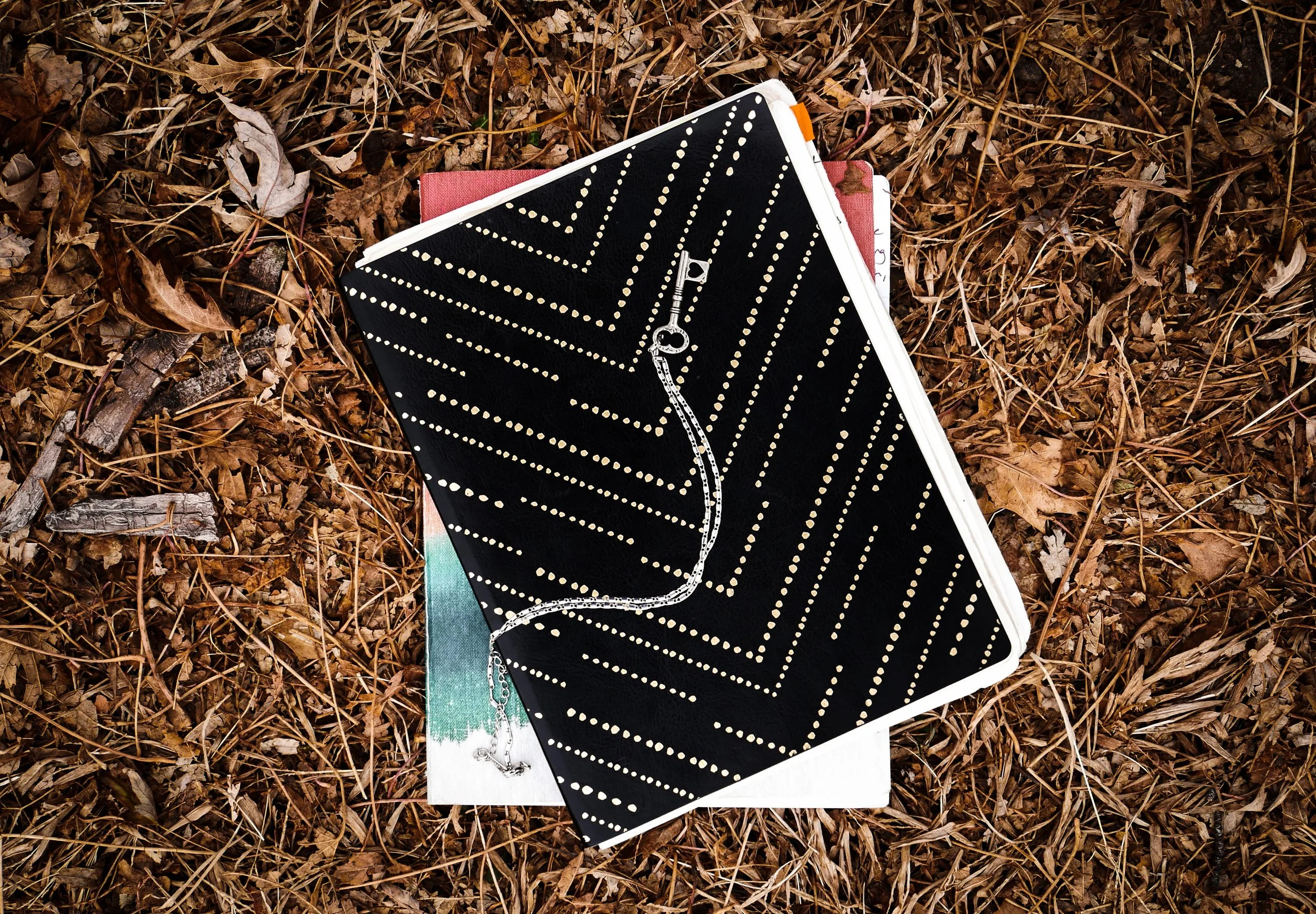 Journals and key necklace, Andy Dahlen Andrew Dahlen Minneapolis, Minnesota