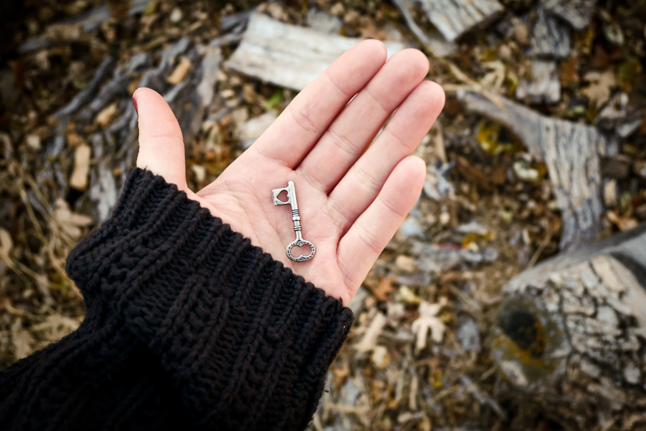 Hand holding a small silver key with logs and leaves in background