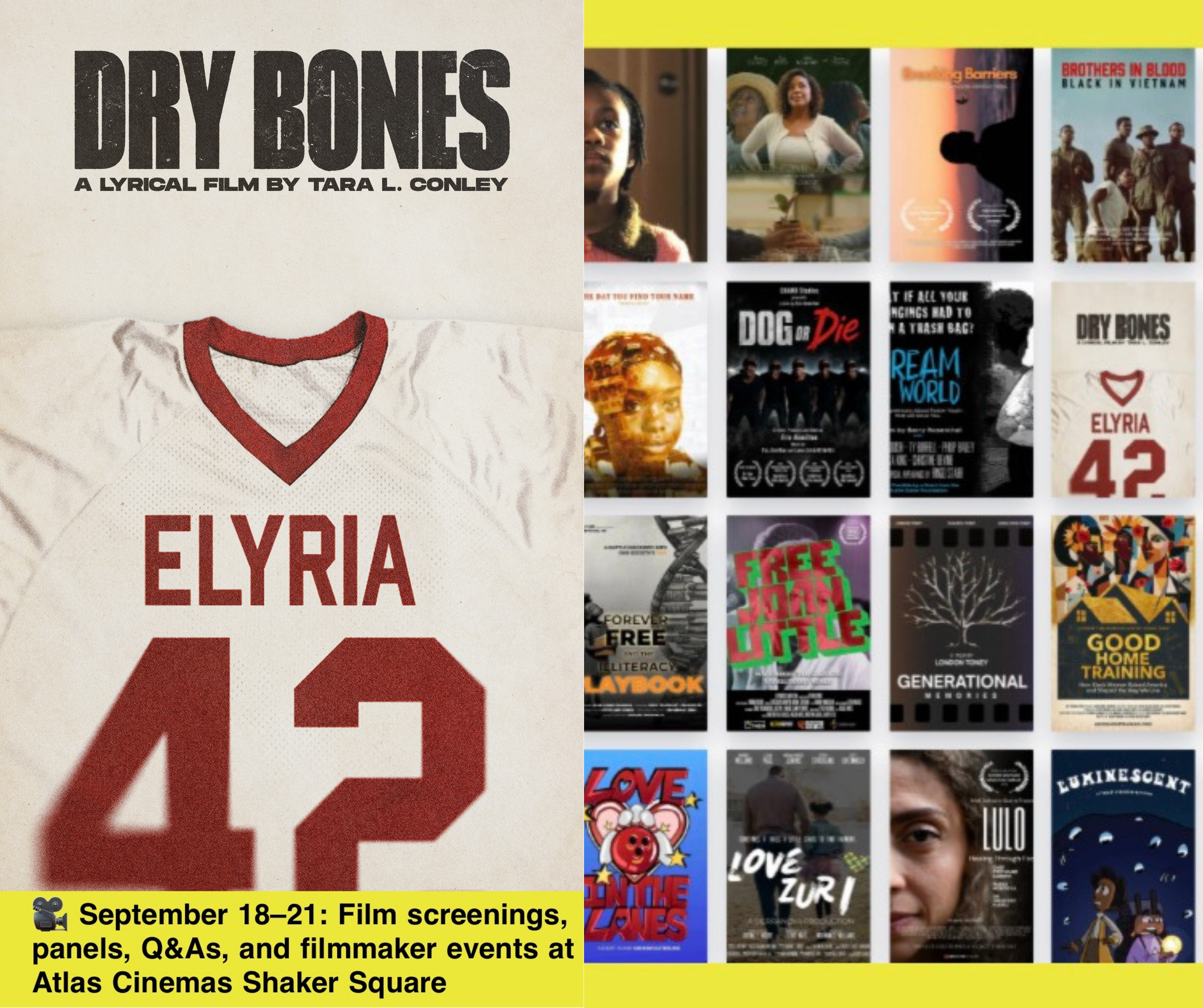 DRY BONES Virtual Screening at GCUFF!