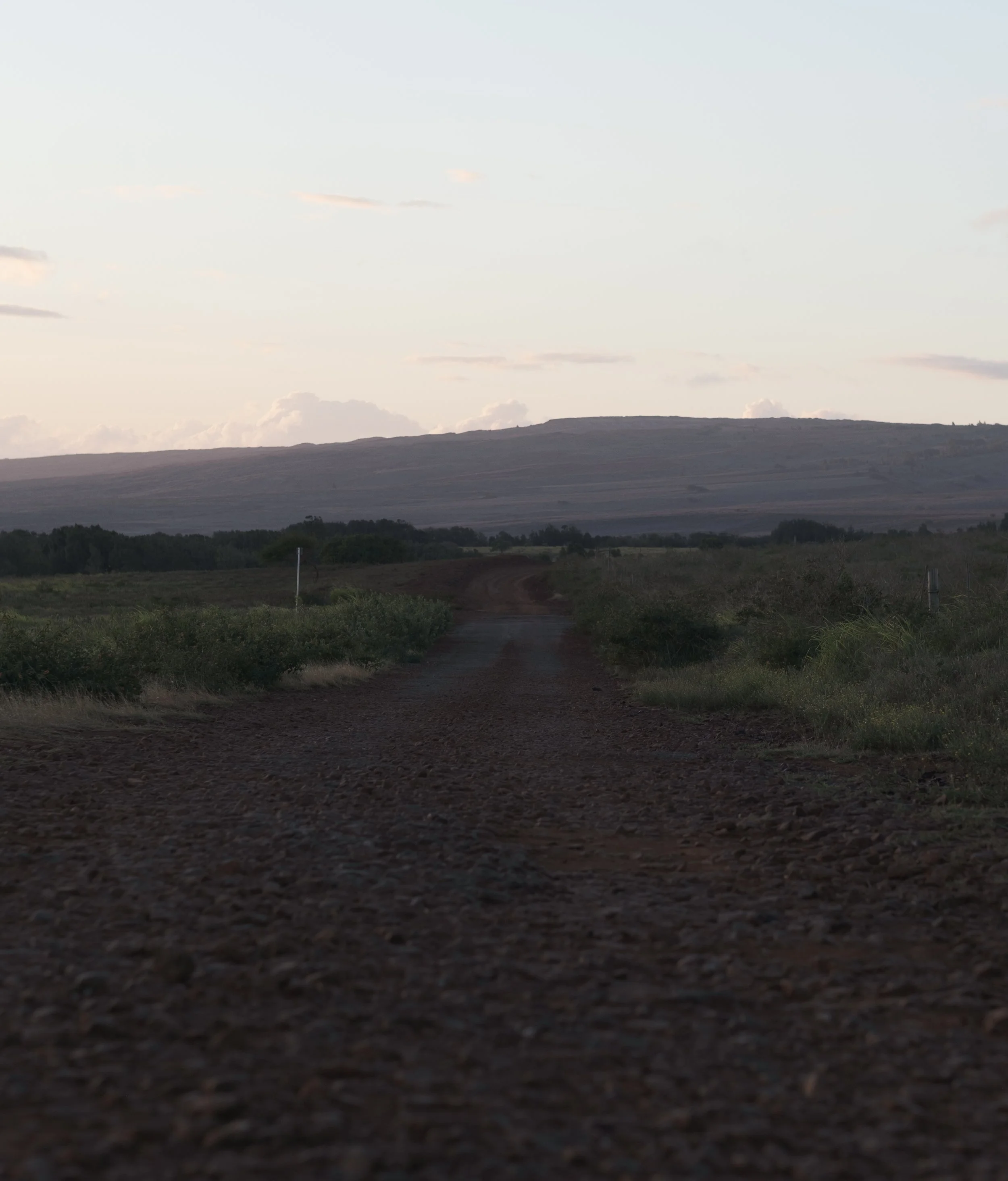 DSCF4085-2.jpg