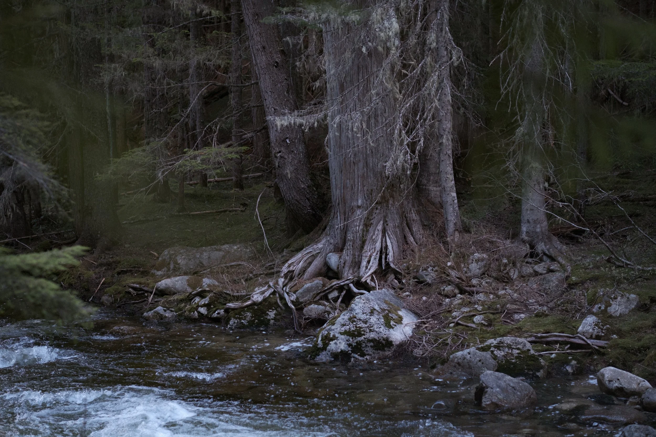 DSCF1809.jpg