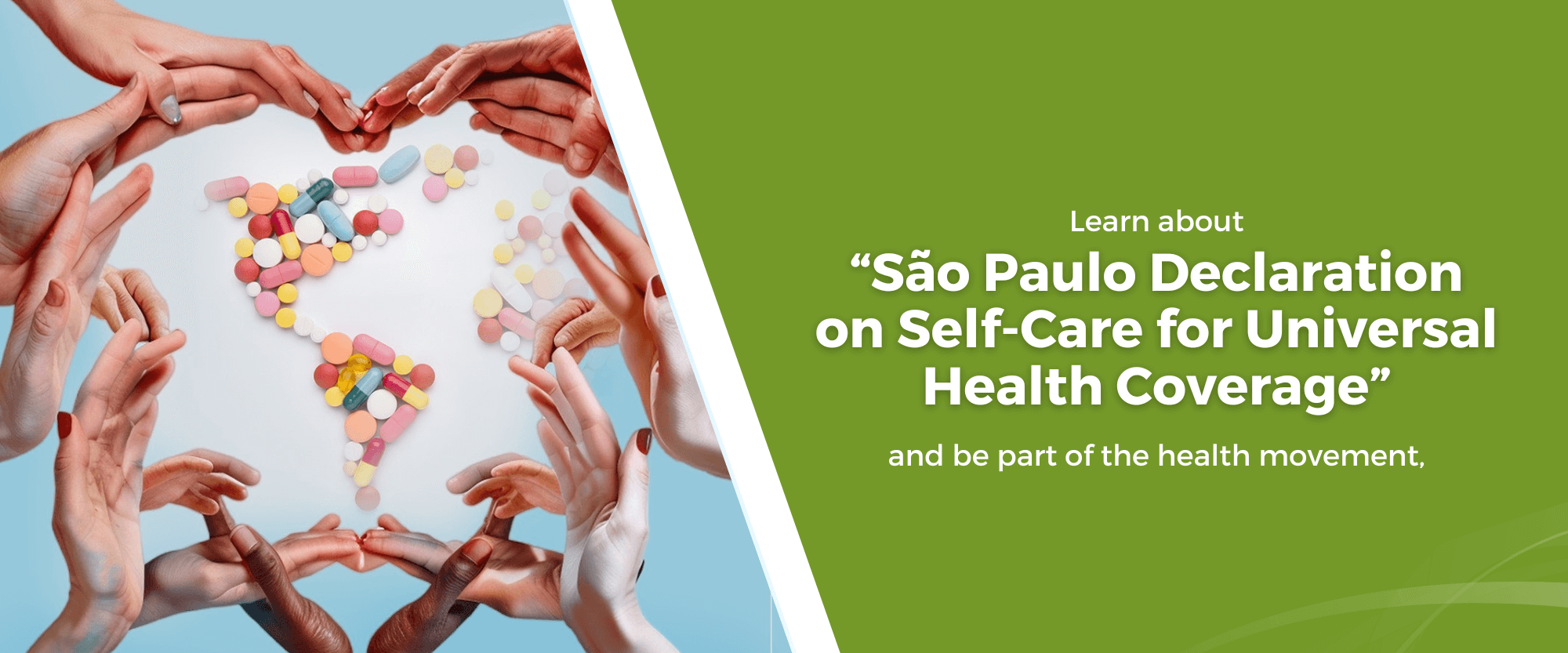 SP Declaration 24.png