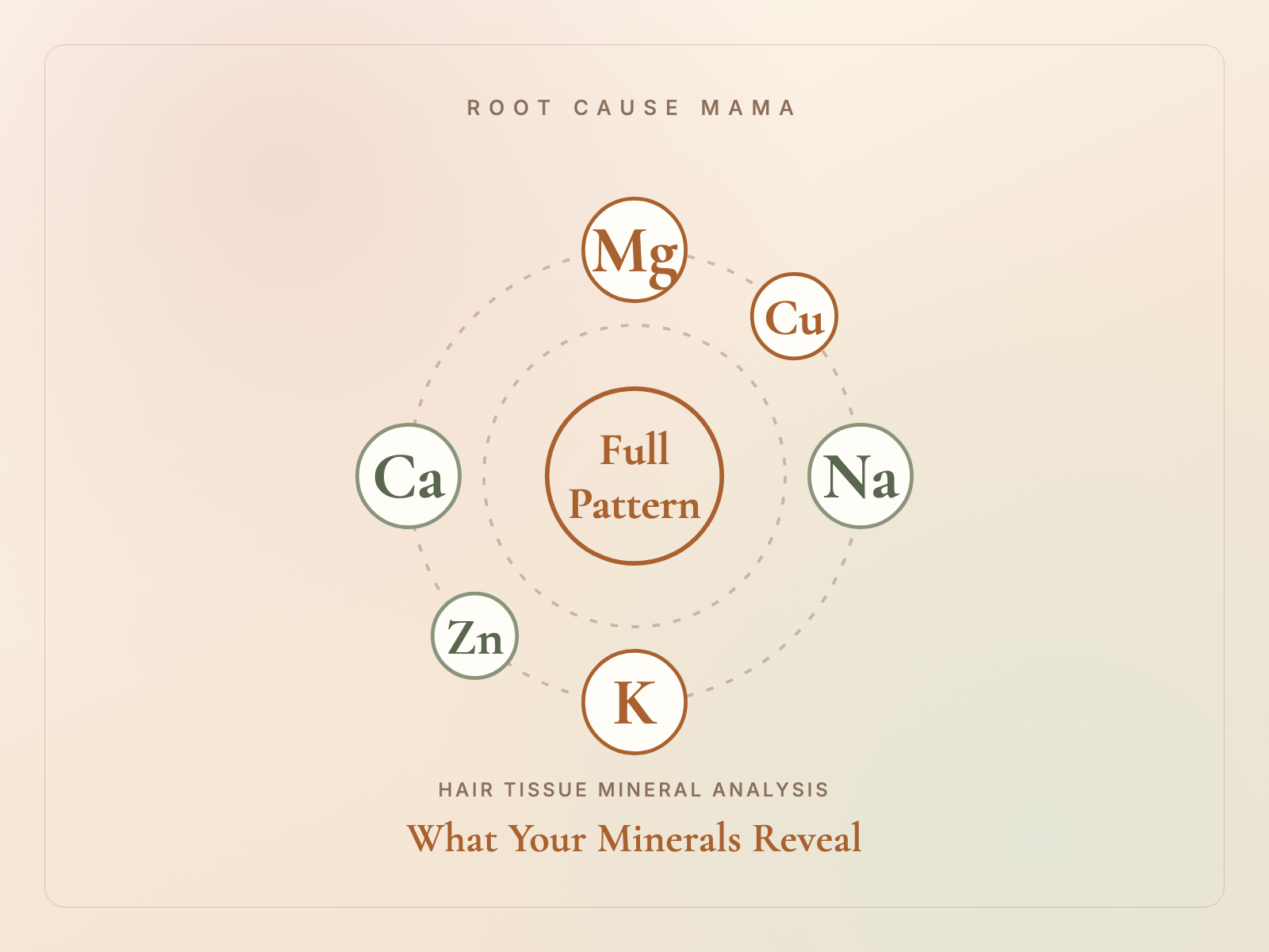 What Your Hair Reveals: A Gentle Intro to HTMA and Your Oxidation Type