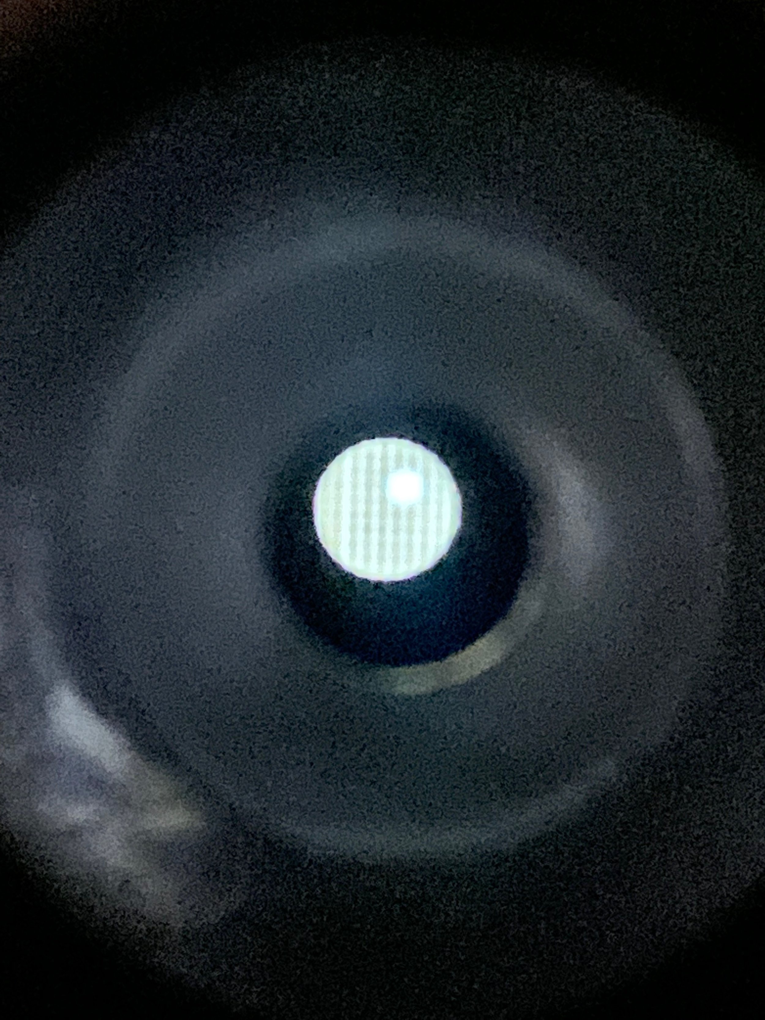 IMG_0761.jpeg
