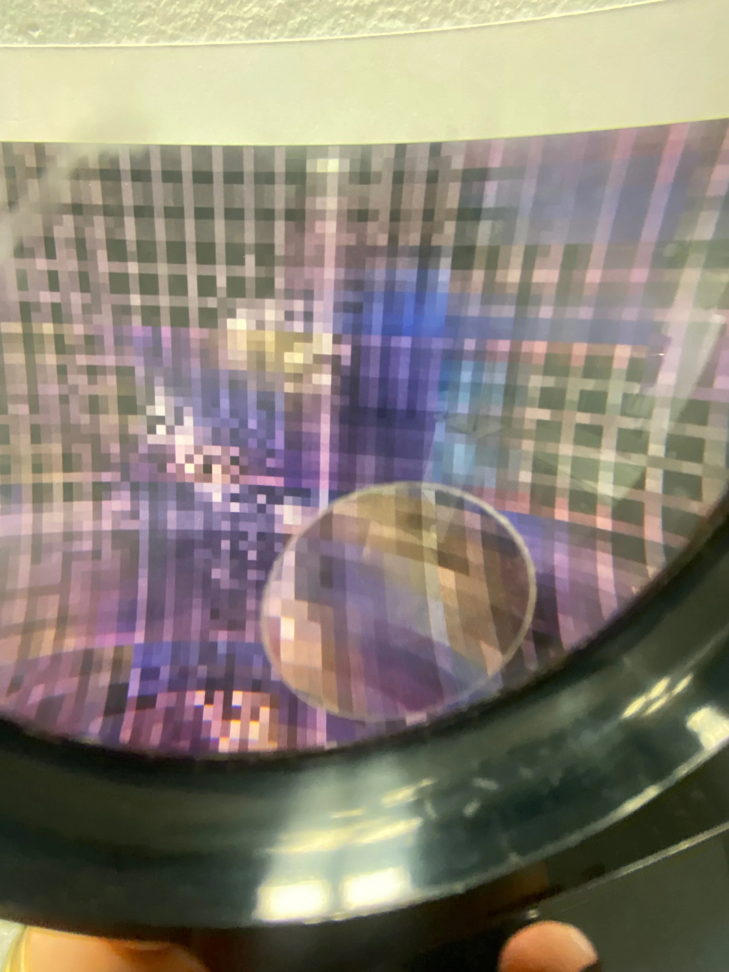 IMG_0781.jpeg