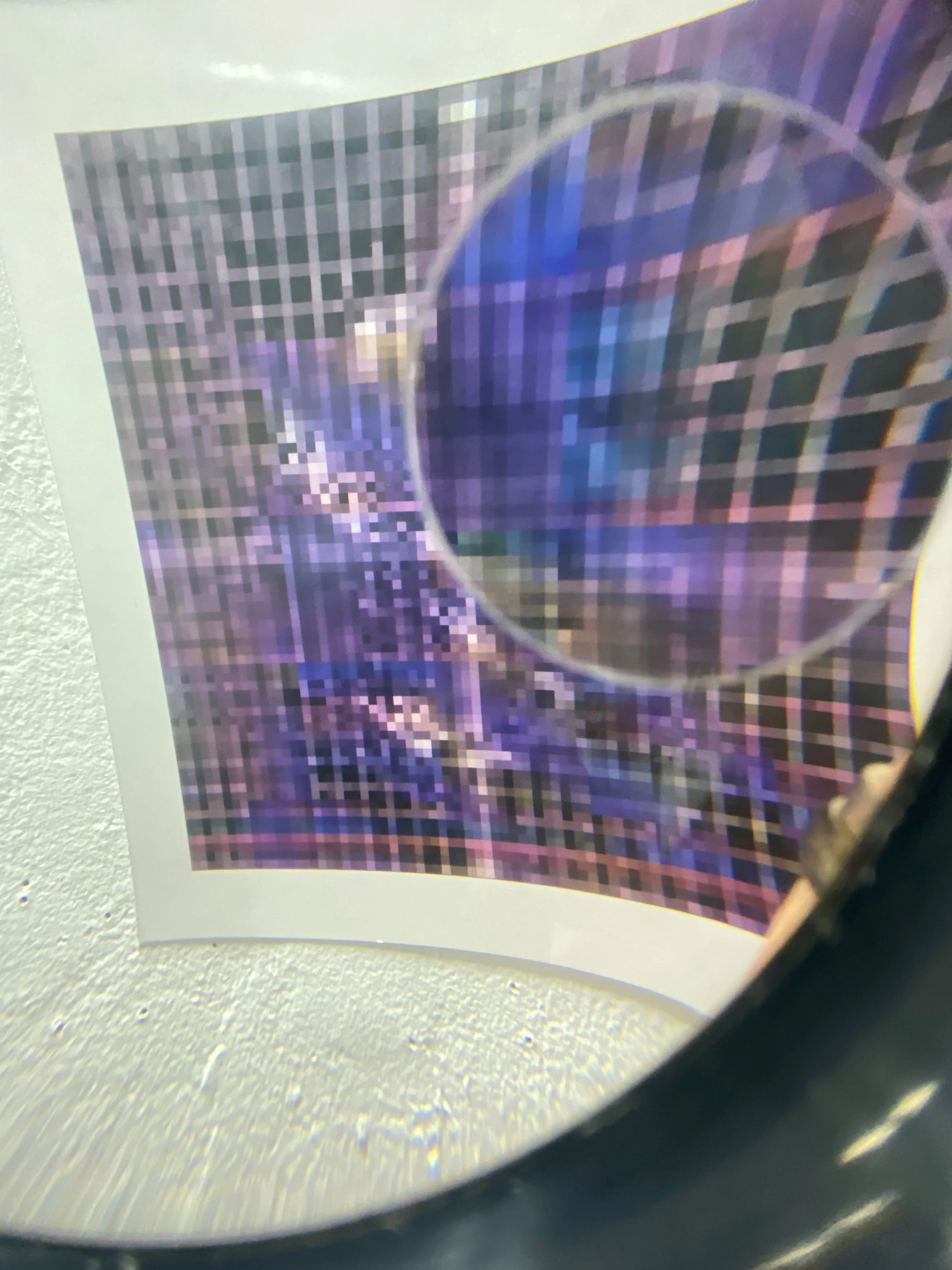 IMG_0782.jpeg