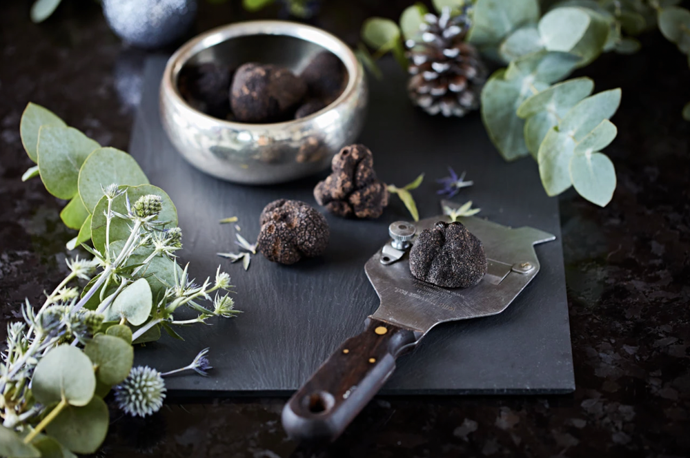 TING Restaurant — visual 14