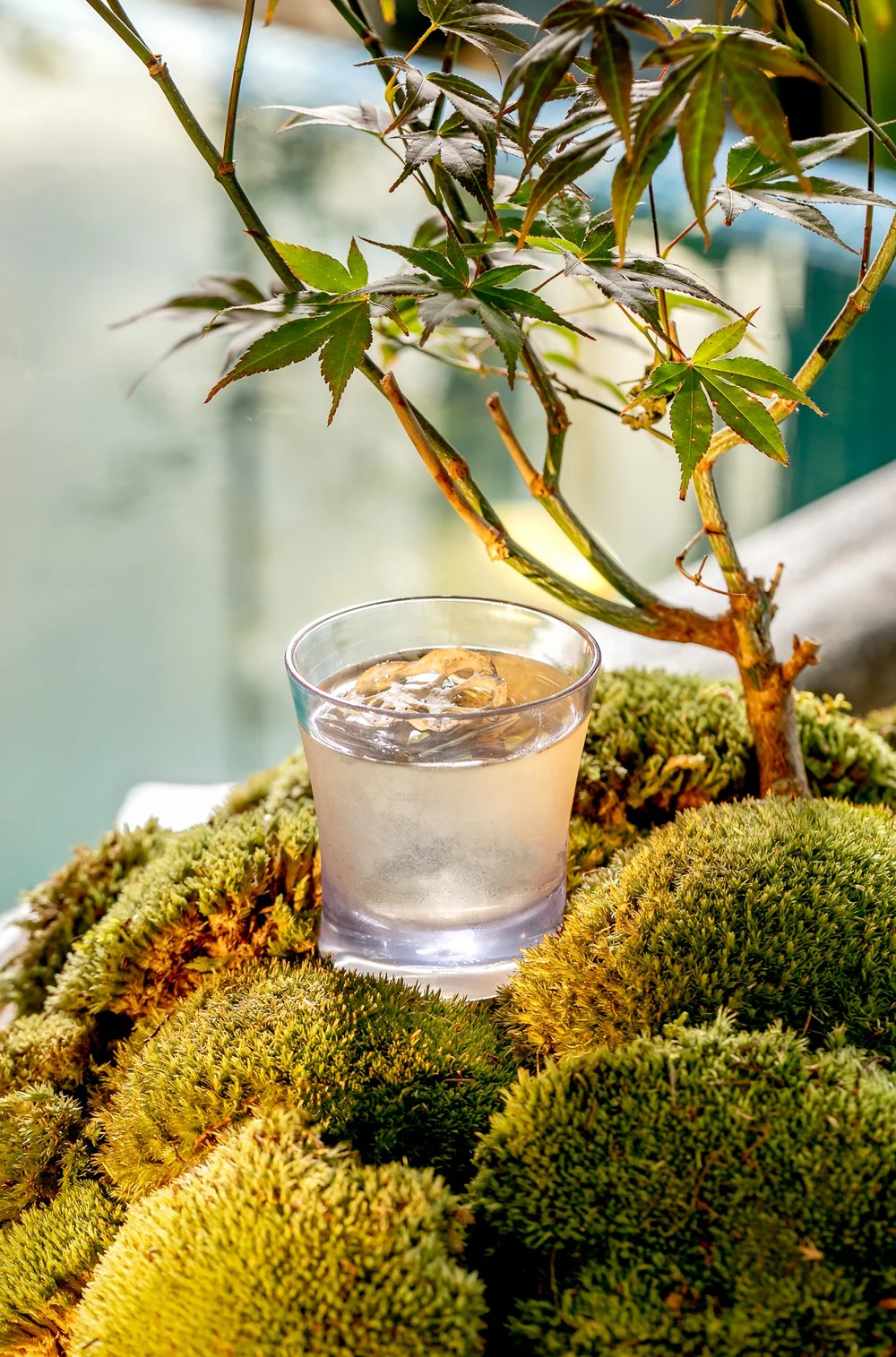 Gong Bar — visual 50