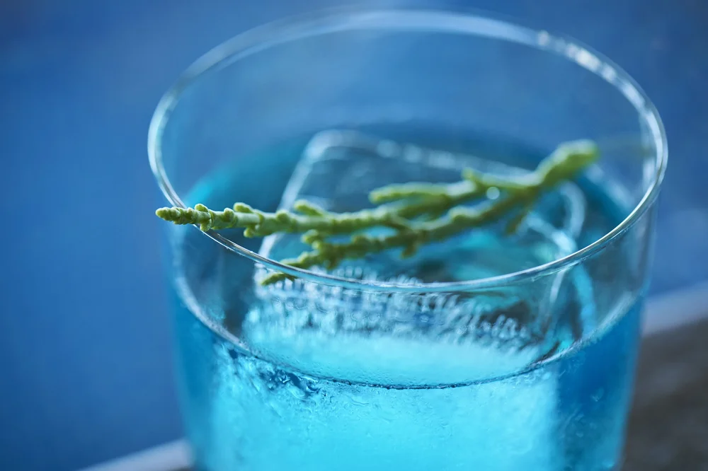 Gong Bar — visual 31