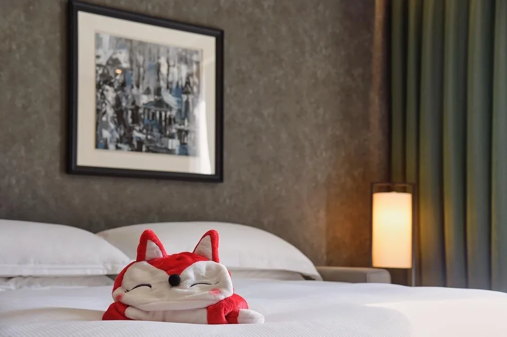 Hilton Campaigns — visual 4