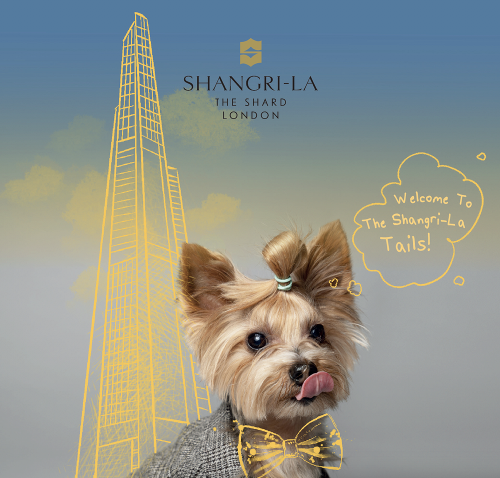 Shangri-La Campaigns — visual 9