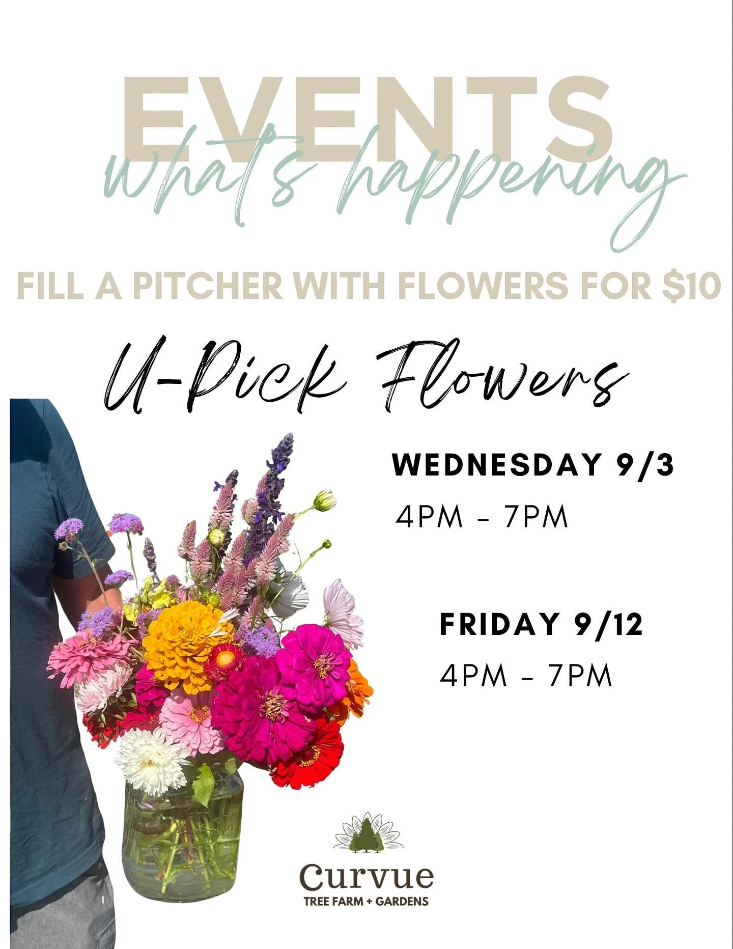 Yes, we are closed, but there are so many pretty flowers to enjoy yet! Join me tomorrow, Wednesday , Sept. 3rd or next Friday, Sept. 12th from 4-7pm to fill a pitcher with fresh flowers for just $10! 💐 

#curvueflowerfarm #eauclaire #upick #upickfar