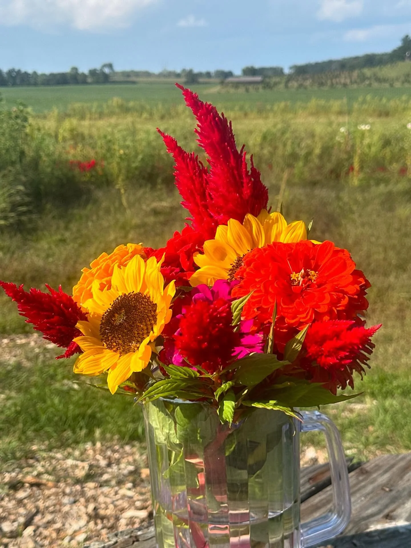 It was a beautiful night for flower picking&hellip; except for the sideways rain. I appreciate the ladies who giggled their way through it all. 🫶🏻 Then we were blessed with a full rainbow. 

#memorymaking #flowerfarm #upickflowers #upickfarm #fresh