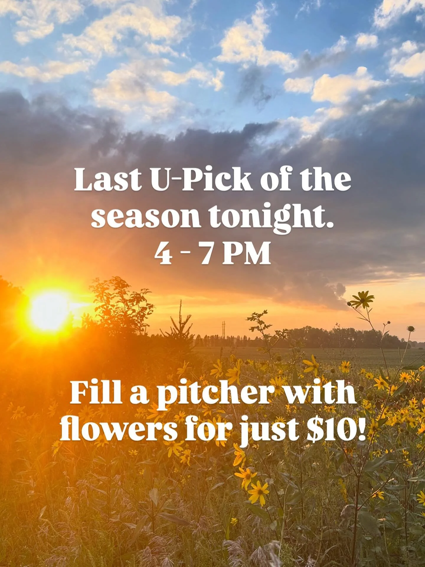 Join us tonight from 4-7pm! 

#upick #upickflowers #upickflowerfarm #eauclaire #curvuetreefarmandgardens