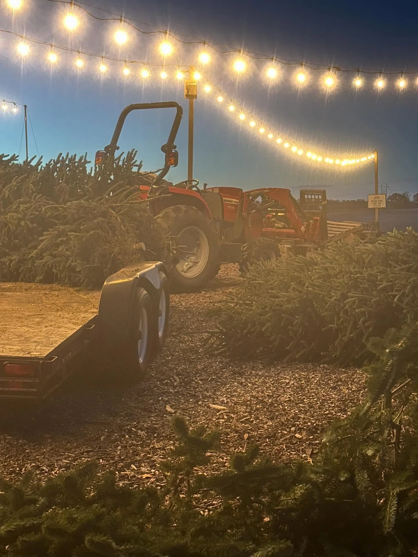 When you&rsquo;re tree farmers&hellip;. 🌲 

#christmastreefarm #curvuetreefarm #wisconsin #eauclairetreefarm #curvuetreefarmandgardens #familyowned #supportlocal #supportsmall