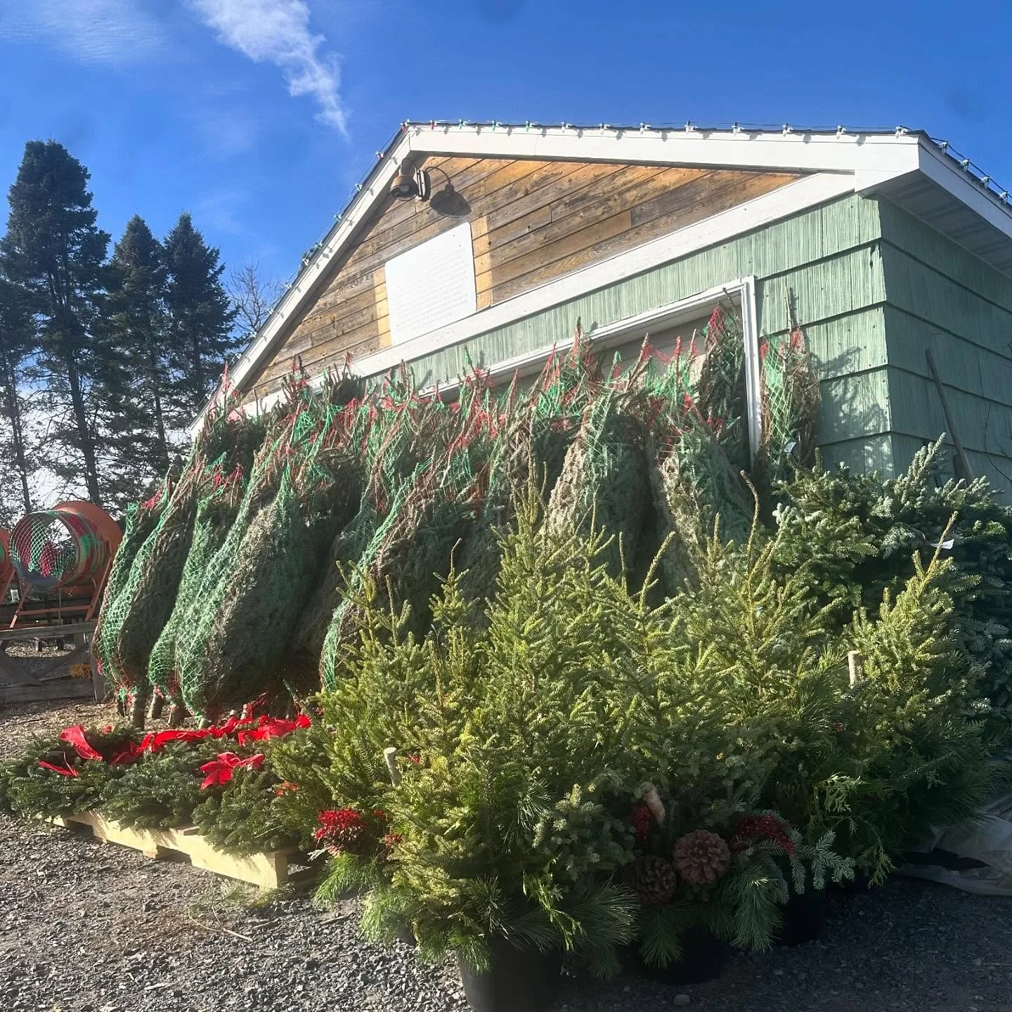 Wholesale order ready to go to Centerville, WI! 

#wisconsingrown #supportlocal #shoplocal #curvuetreefarm #eauclaire #eauclairetreefarm #curvuetreefarmandgardens #handmade #fresh