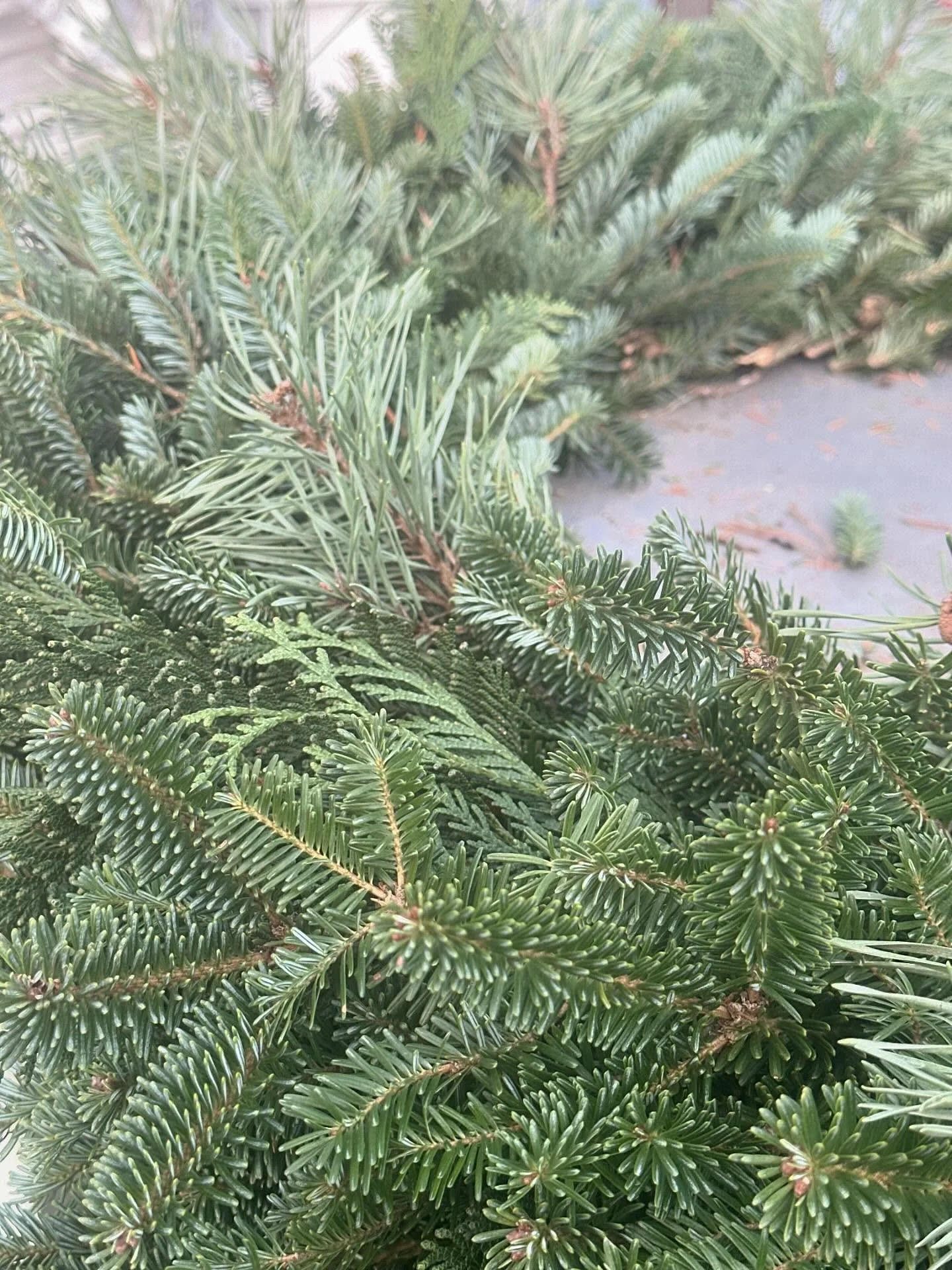 Little accents make a difference. ✨ 

#wreaths #handmade #freshfromthefarm #eauclaire #curvuetreefarm #curvuetreefarmandgardens