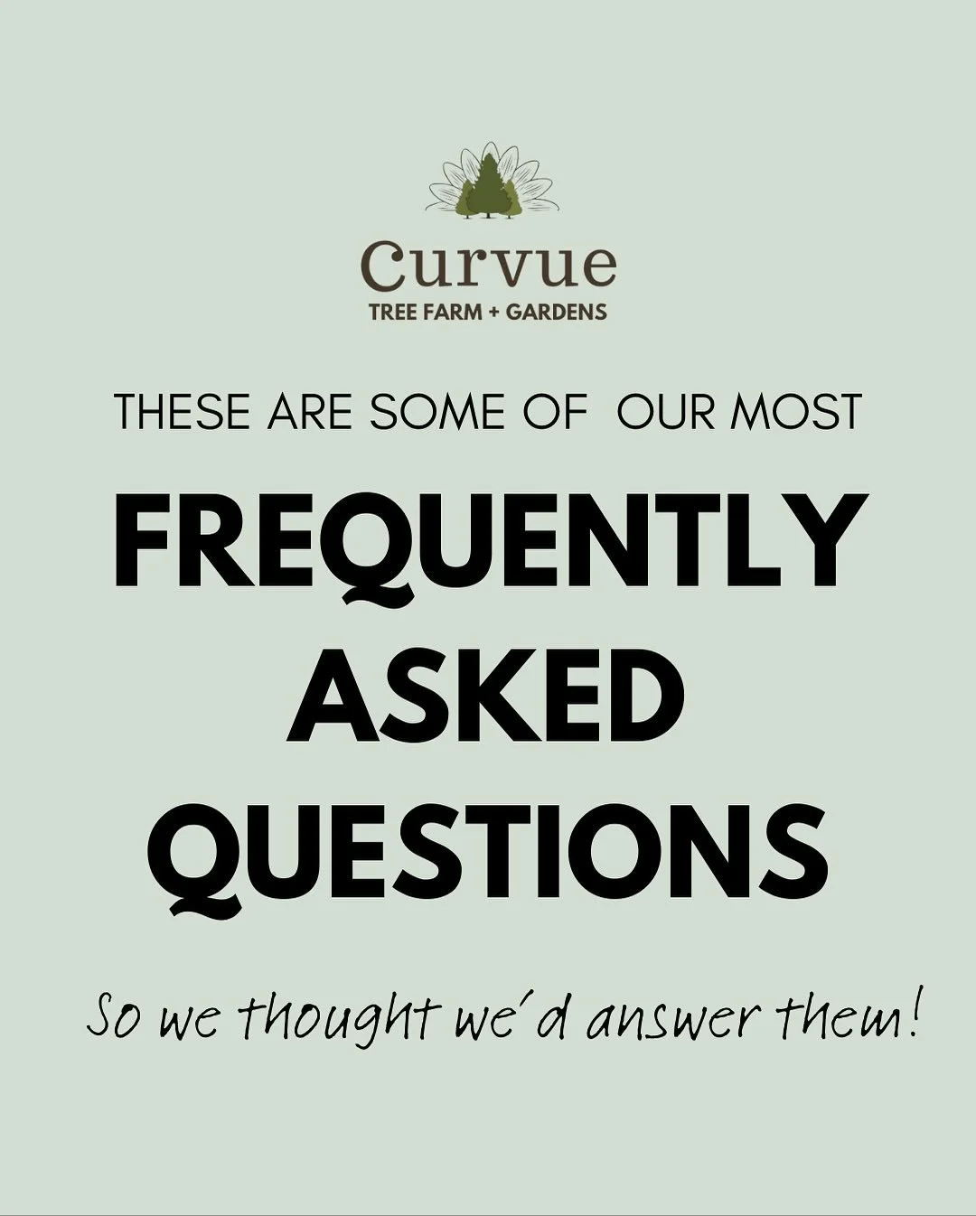 We thought we&rsquo;d answer some of the most frequently asked questions we get here at Curvue Tree Farm. Our website has quite a bit of information too - check it out at www.CTreesOnC.com 🌲 We look forward to seeing you! 

#curvuetreefarm #eauclair