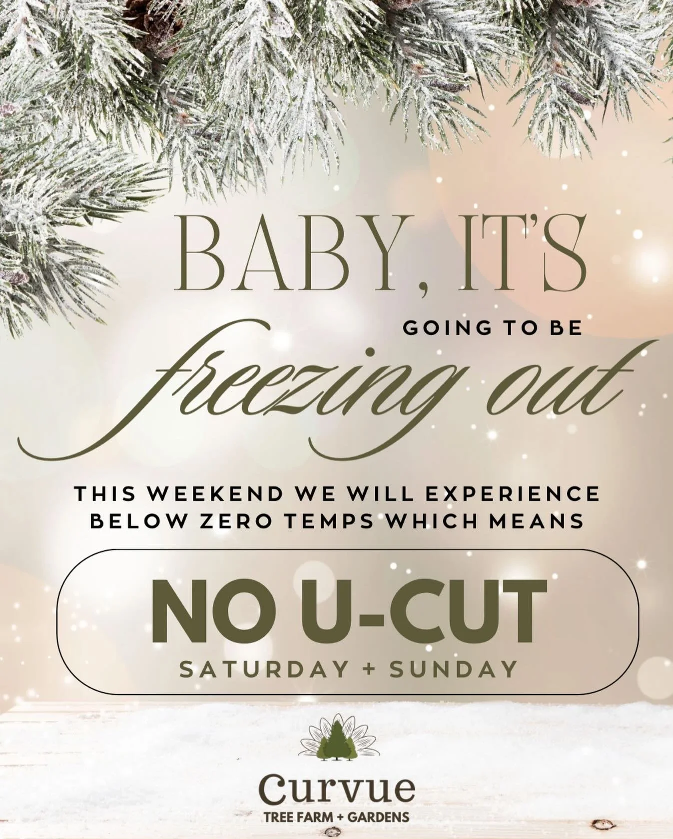 Have you seen the weather forecast? It&rsquo;s going to be frigid this weekend! 🥶 Sadly, that means choose-n-cut or U-Cut trees will not be an option this Saturday + Sunday. We will, however, restock the Pre-Cut lot with trees for a good selection. 