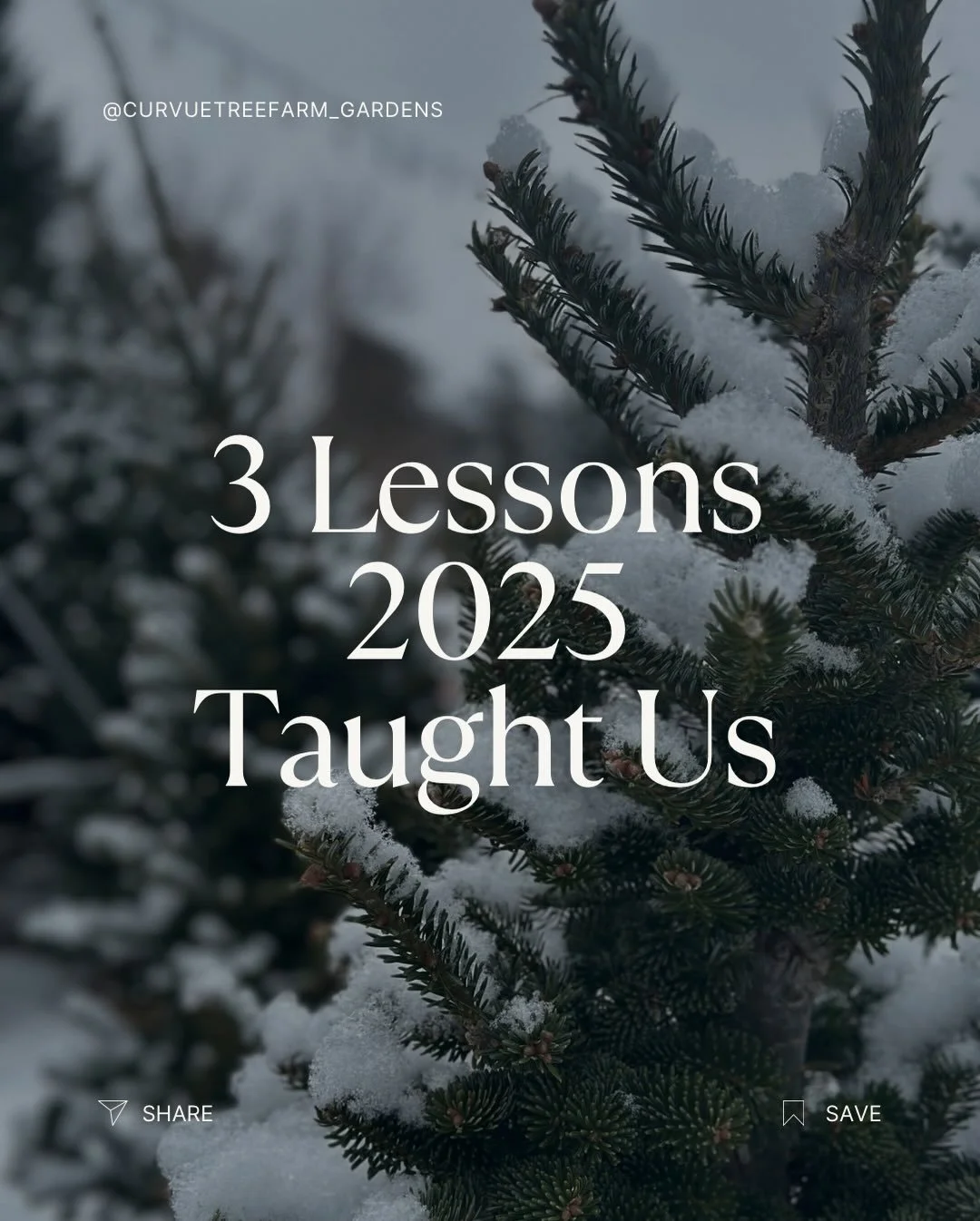 Thank you again. 🫶🏻 We are taking these lessons + looking forward to a time of rest + reset as we move into the new year. We are signing off for a while. ✌🏻

Happy New Year! May God bless you in 2026. 

#curvuetreefarmandgardens