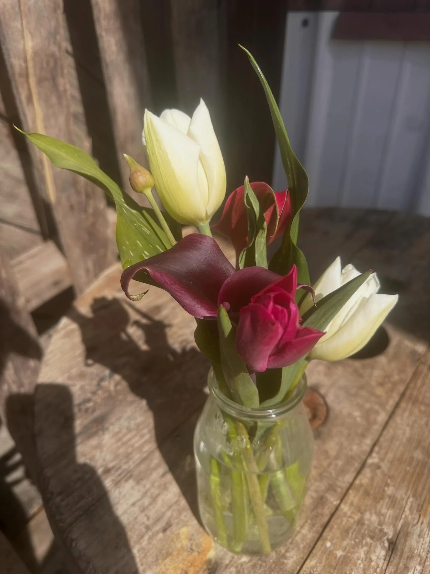 Two fresh bouquets available in the Curvue Market! 💐 

#tulips #calalillies #freshflowerbouquet #curvuemarket #curvueflowerfarm