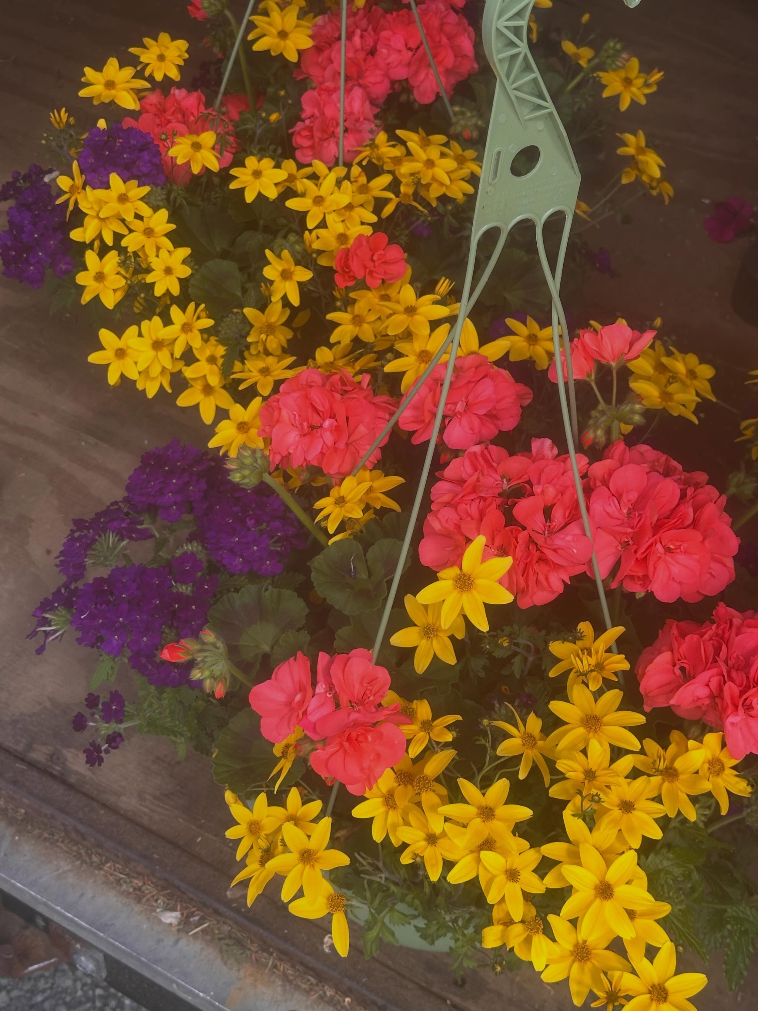 We just picked up a bunch of beautiful hanging baskets for tomorrow! There will be plenty of items to browse tomorrow from 10am-2pm. 

#plantsale #vendorevent #shoplocal #shopsmall #curvuetreefarmandgardens