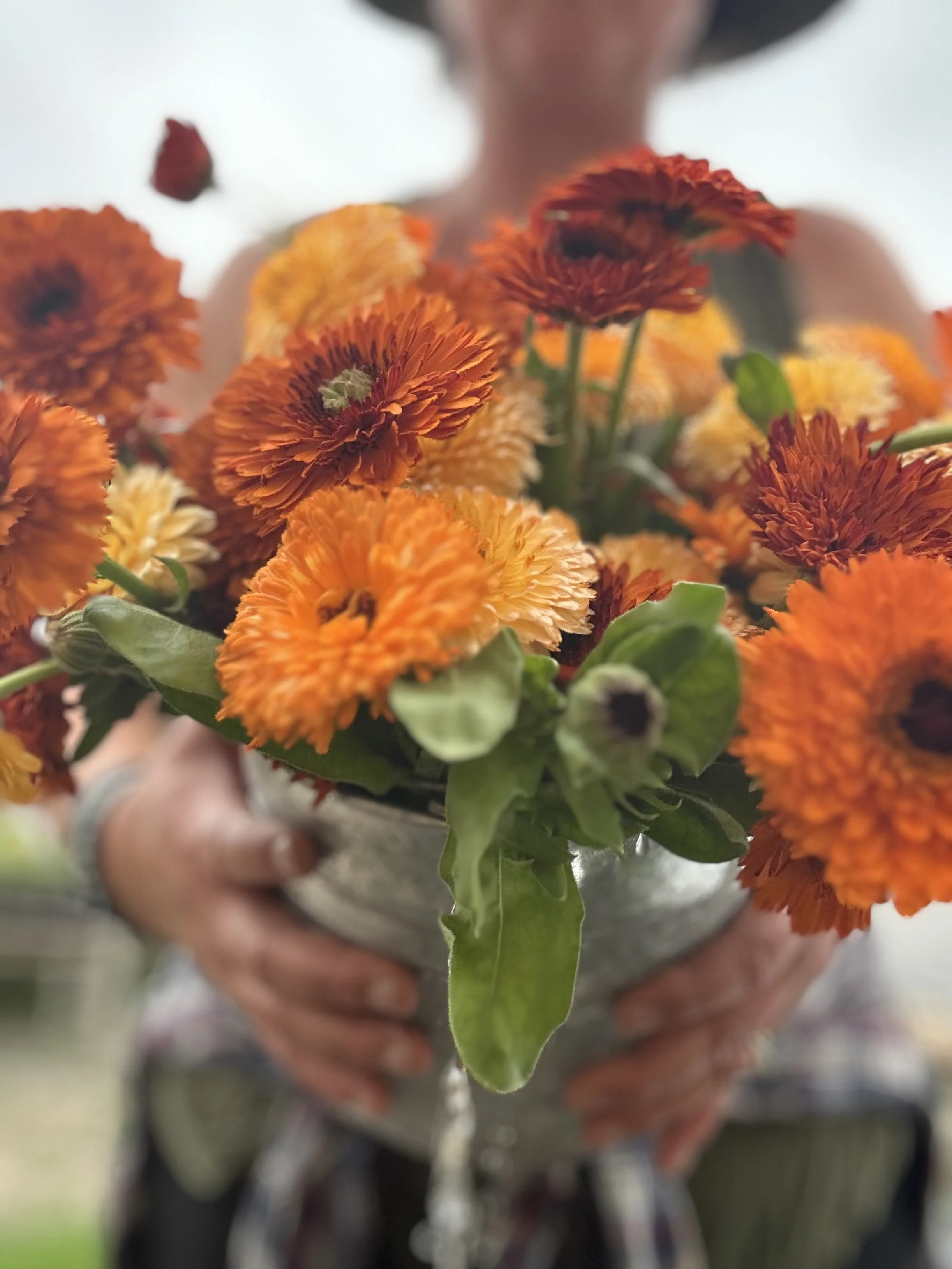 Flower Farm — Curvue Tree Farm + Gardens