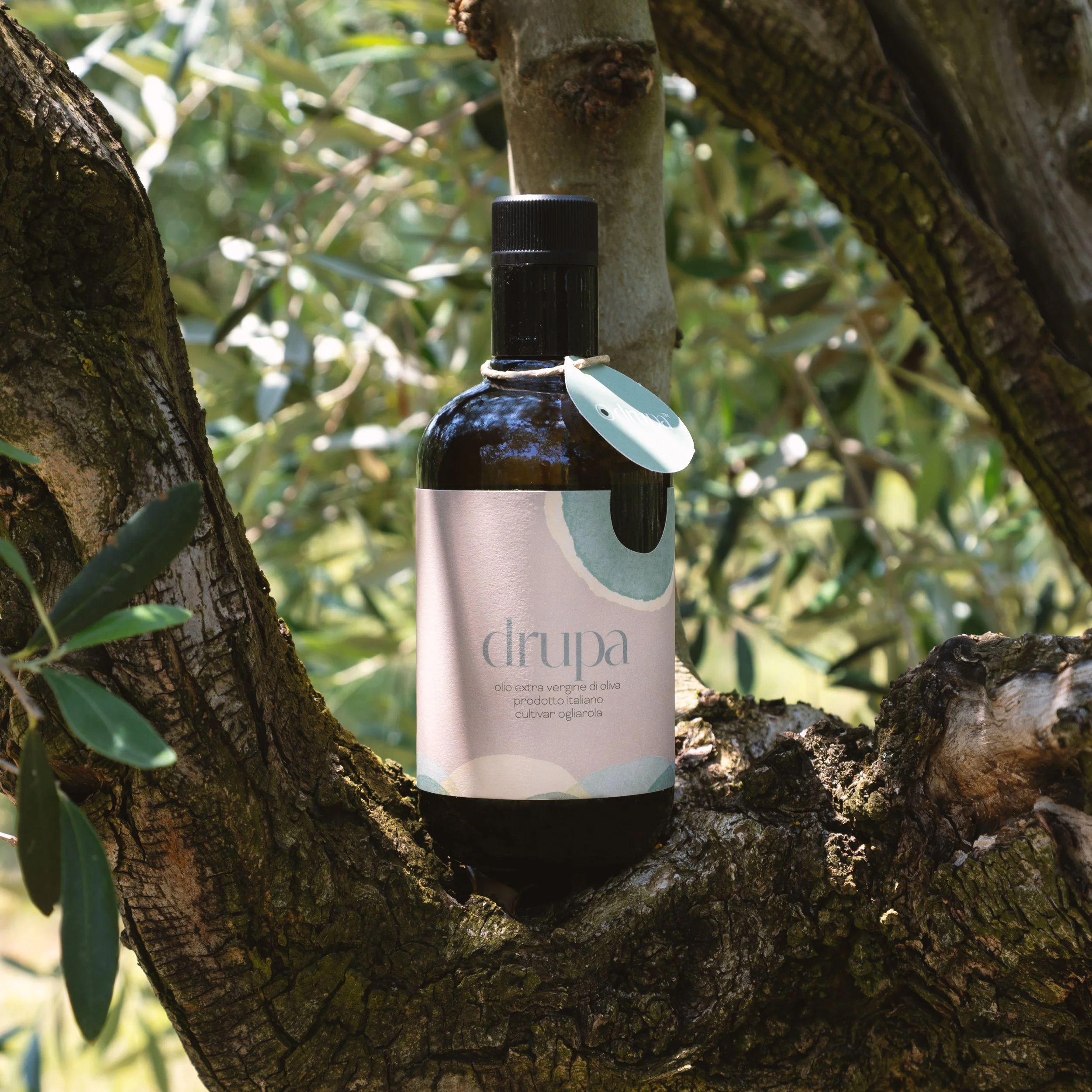 Drupa 500 ml Monocultivar Ogliarola