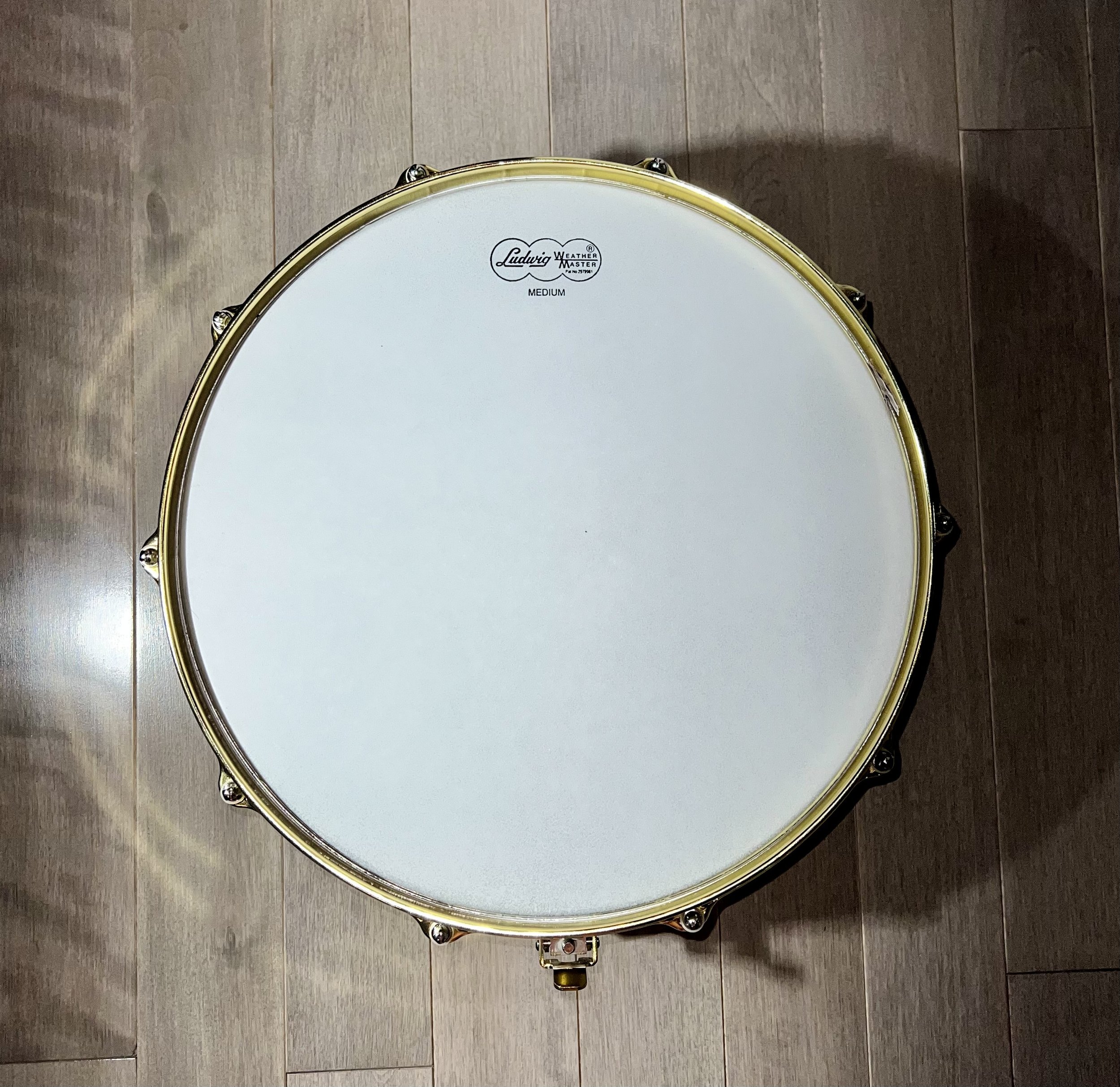 Gold-Plated Ludwig Black Beauty