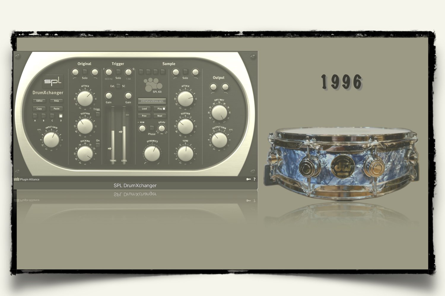 1996 DW Collectors Maple Snare SPL DrumXchanger