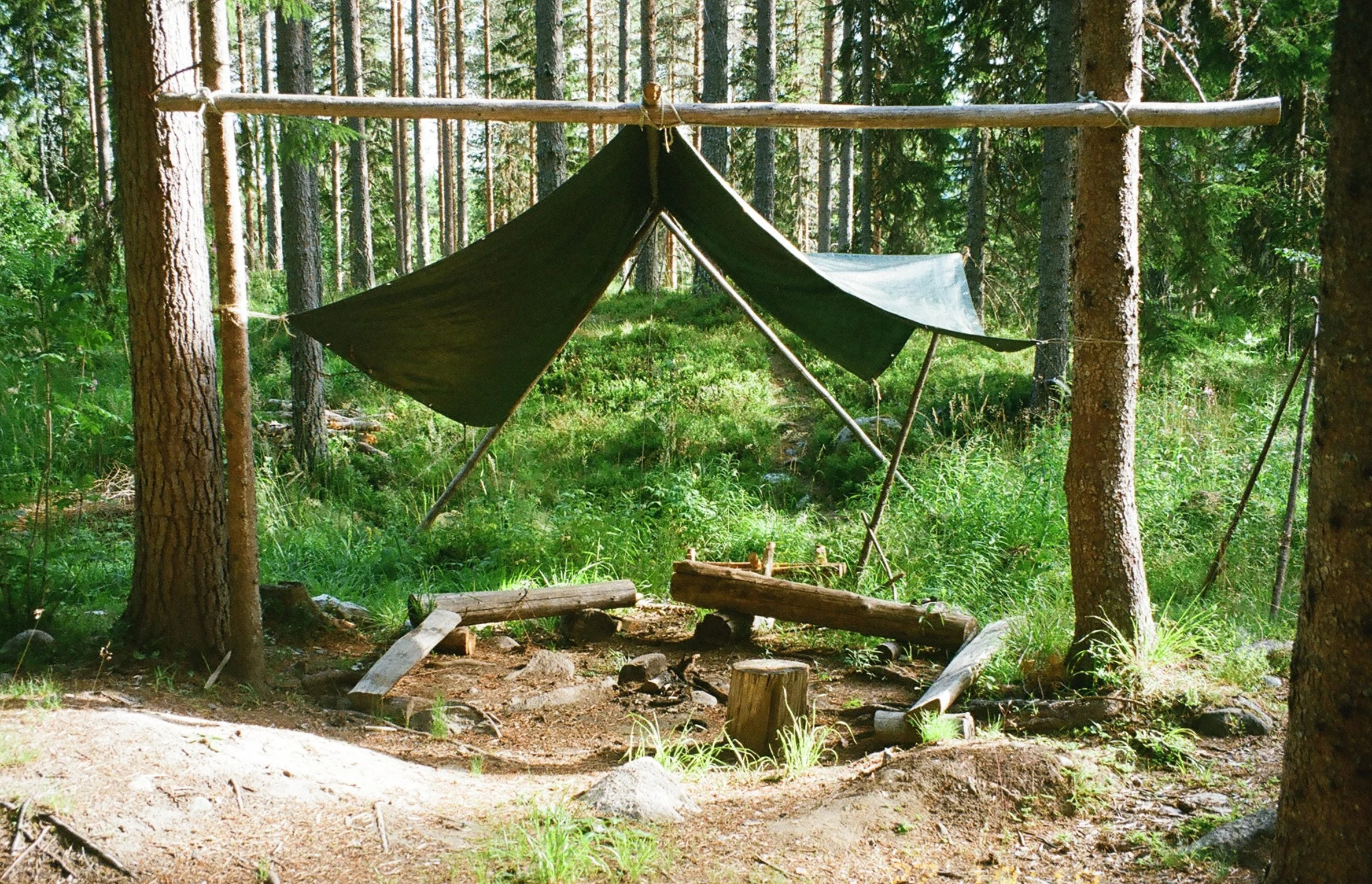 A makeshift shelter with a dark green tarp tied between trees in a dense forest, with logs and rocks on the ground surrounding it.