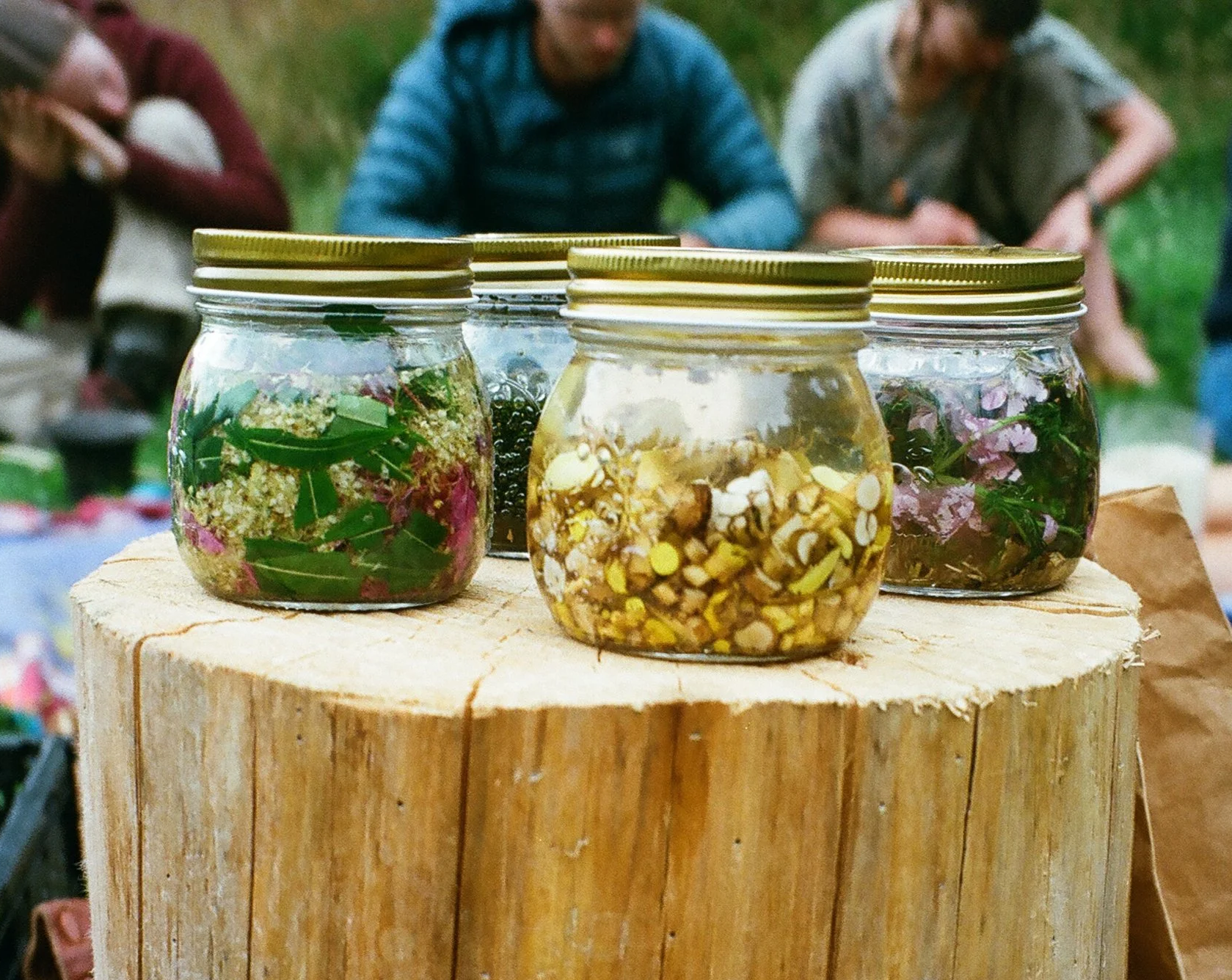 Three glass jars filled with colorful plant materials and seeds sit on a wooden surface, with a blurred group of people in the background.