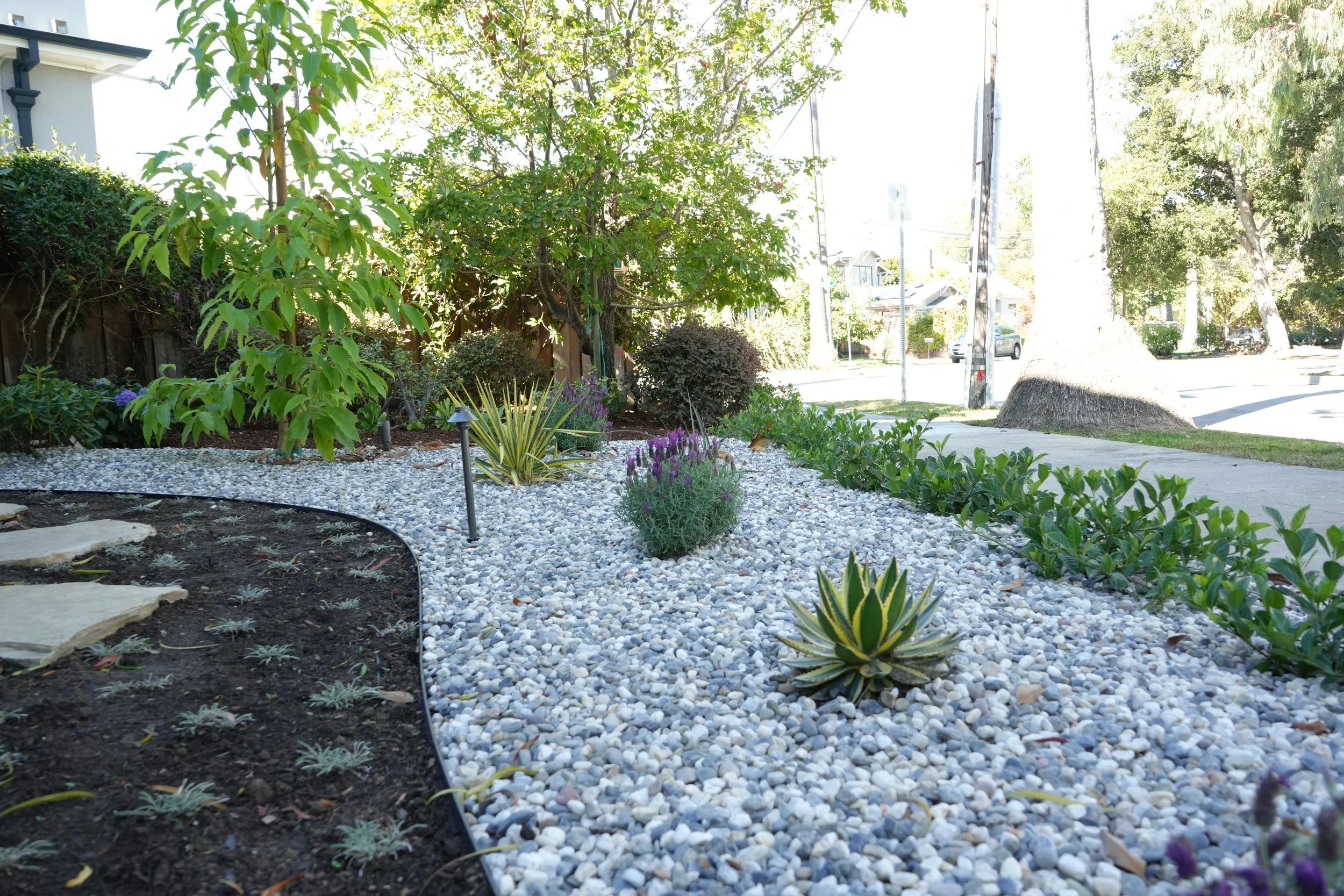 Freshly Planted Vegetable Garden in a Raised Bed.JPG