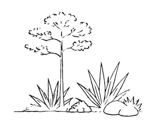 Fire-Resilient Landscape Planning