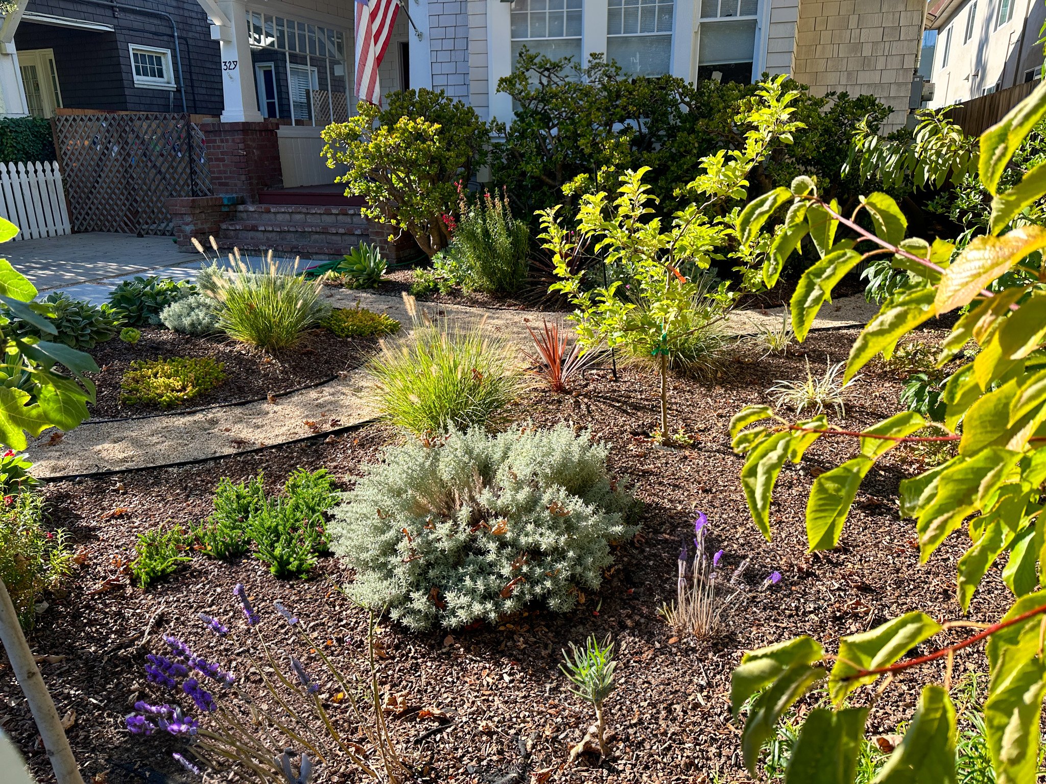 small-front-yard-landscaping-ideas-reconsider-2.jpg
